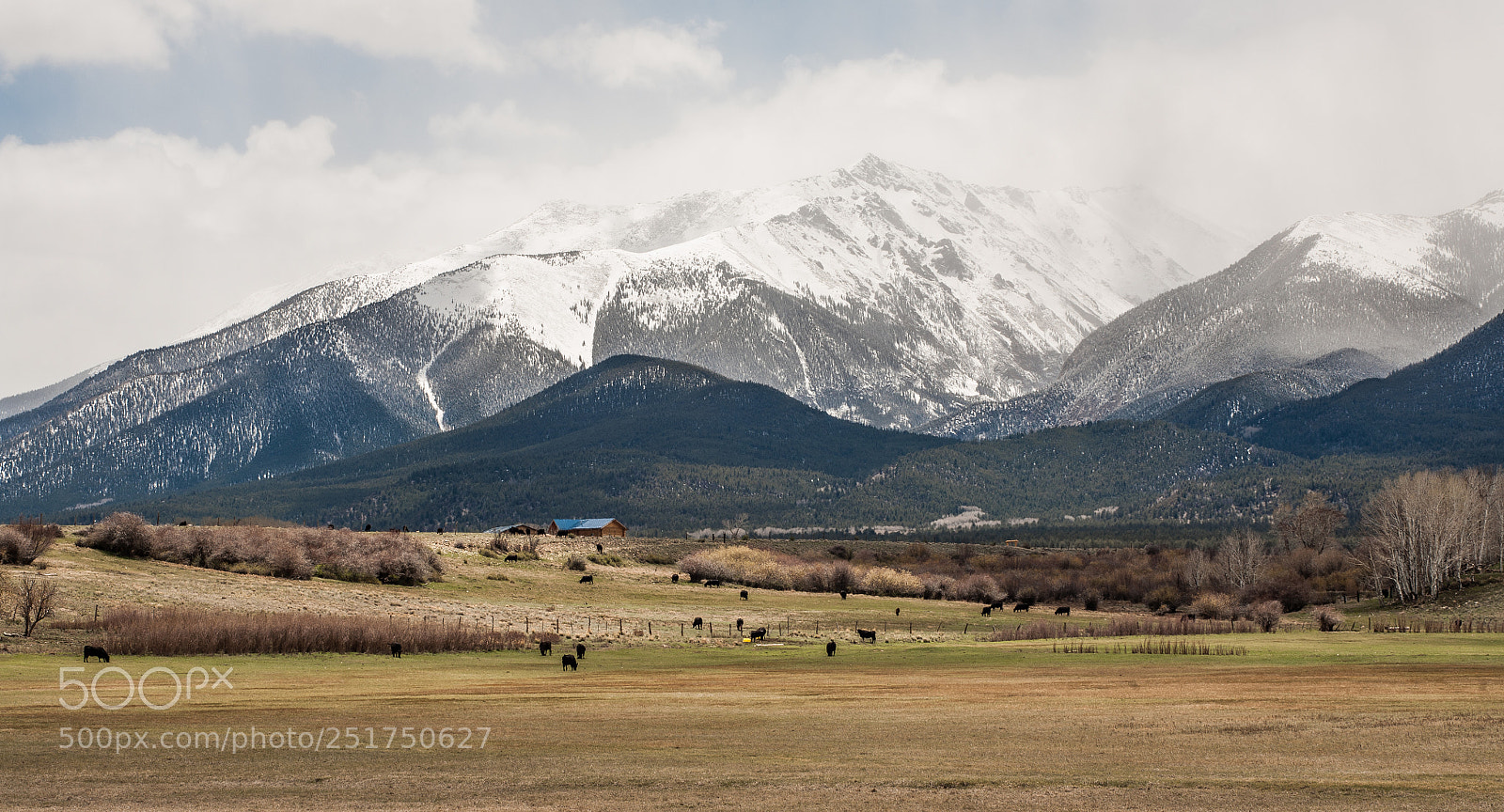 Canon EOS 5D sample photo. Mt. princeton - profile photography