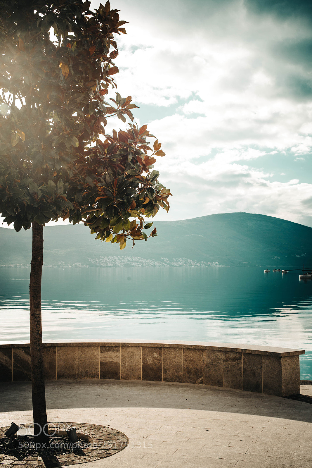Nikon D610 sample photo. Montenegro photography