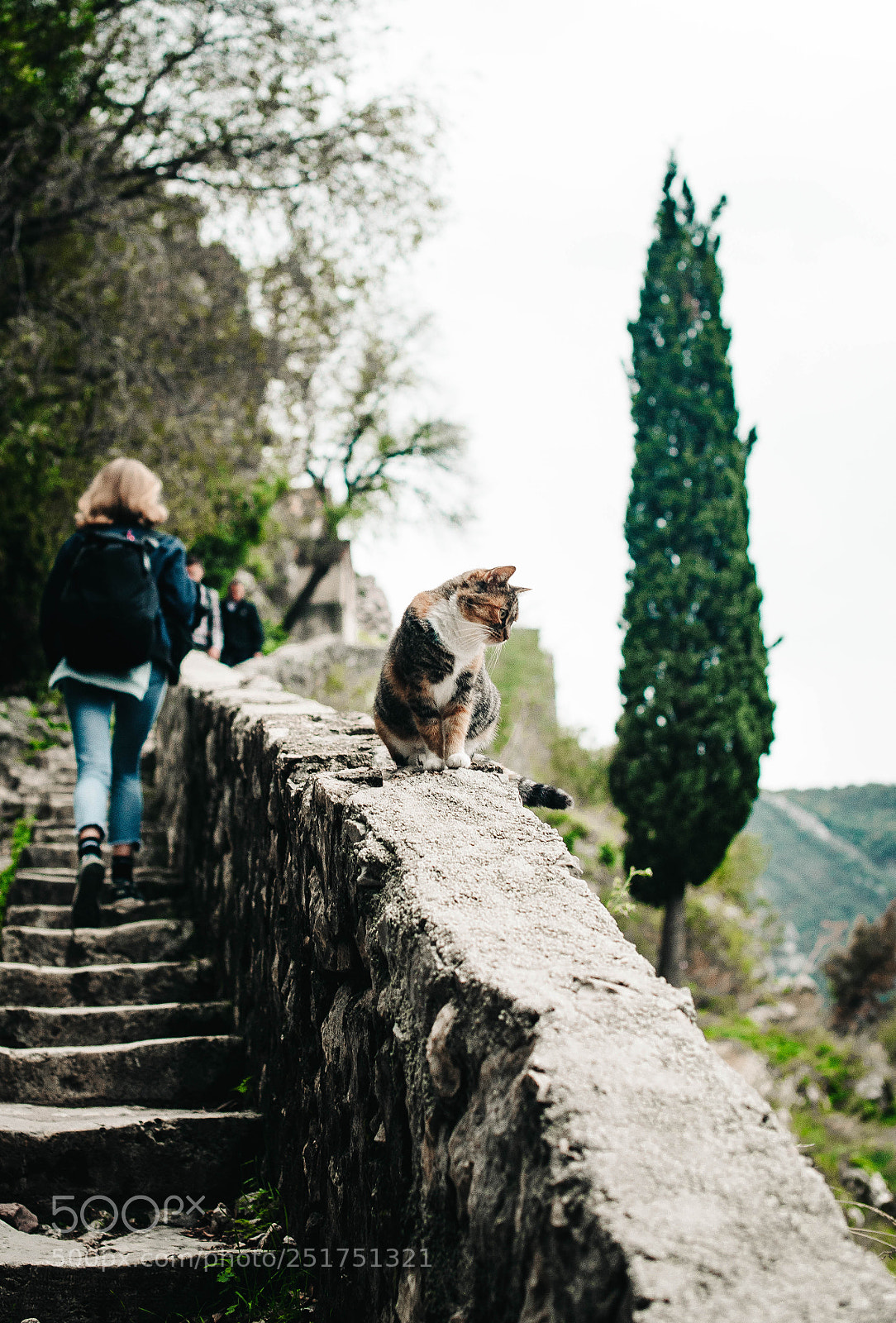 Nikon D610 sample photo. Montenegro photography