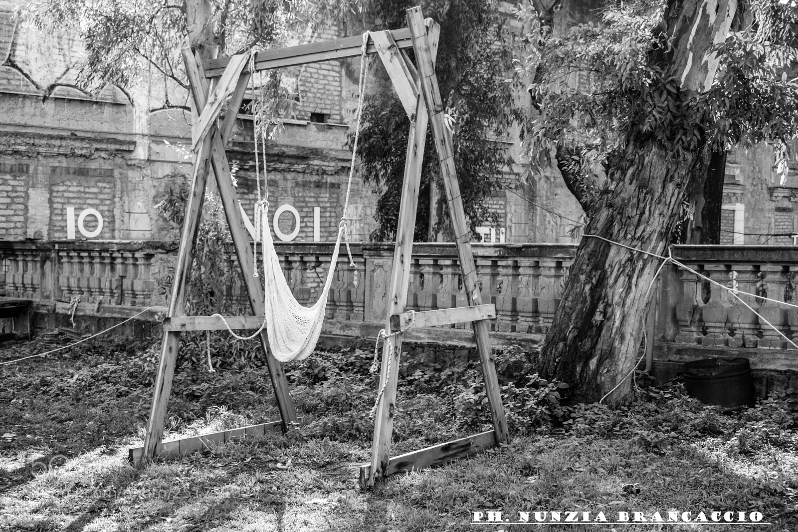 Nikon D5300 sample photo. Untitled photography