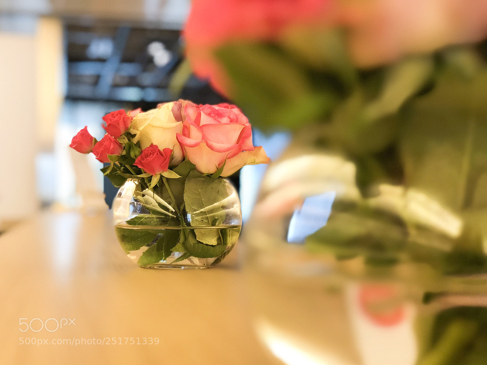 Apple iPhone X sample photo. Untitled photography