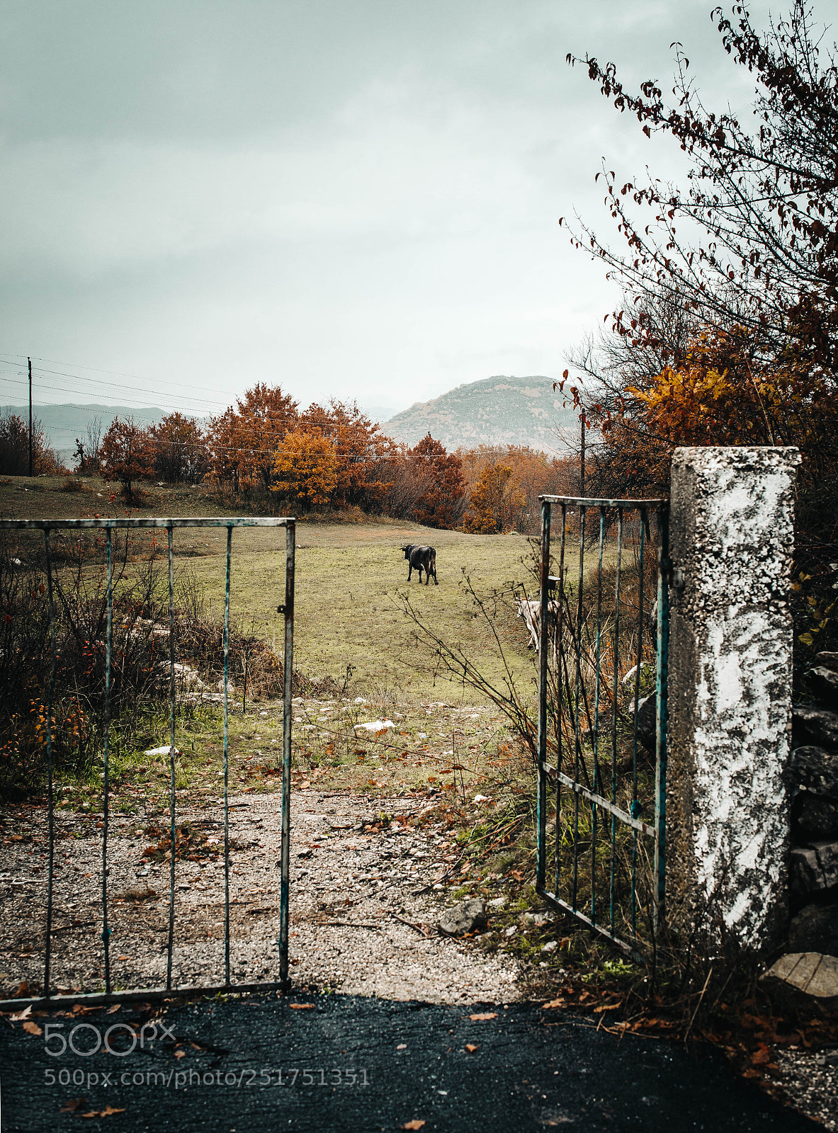 Nikon D610 sample photo. Montenegro photography