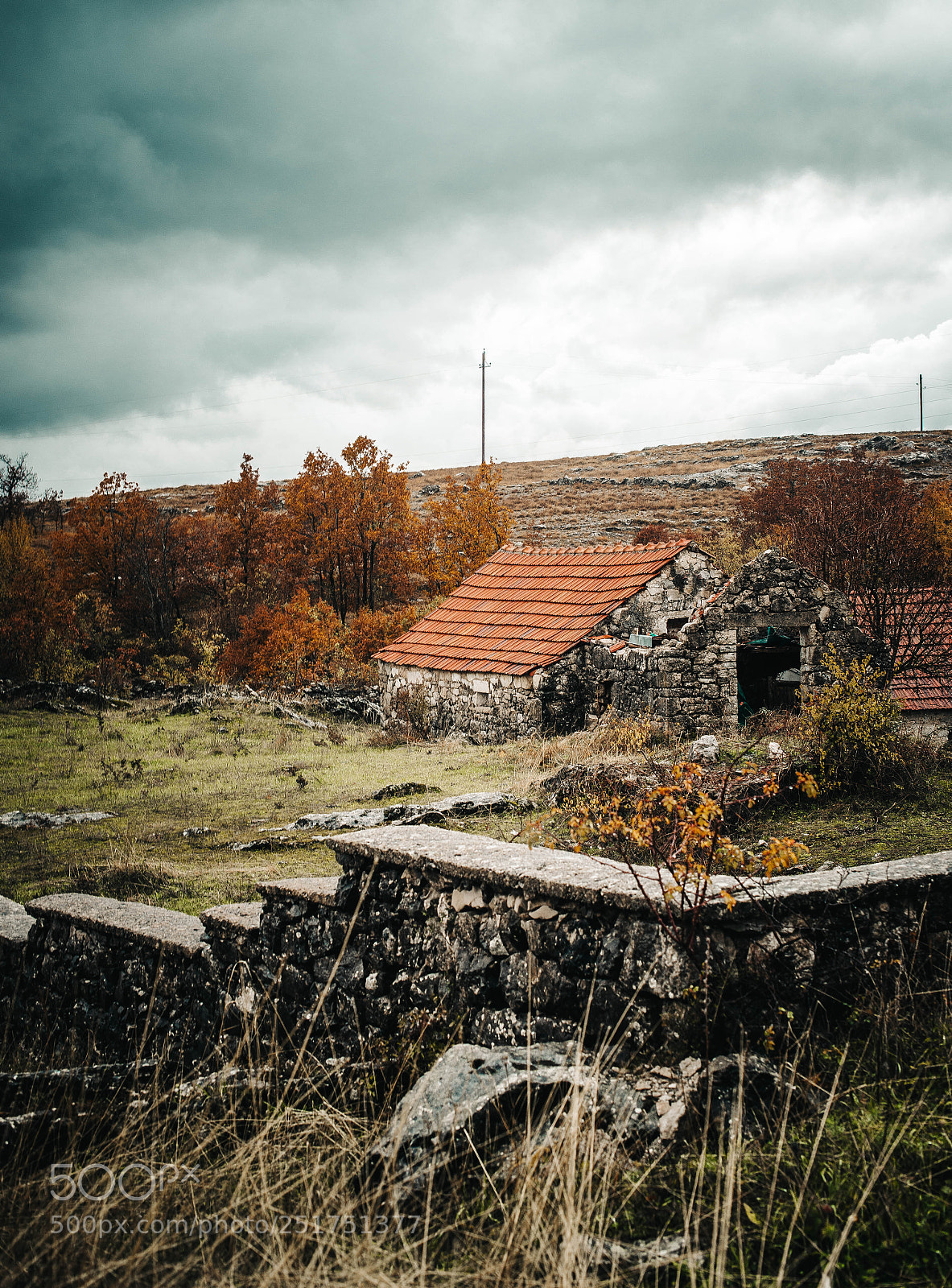 Nikon D610 sample photo. Montenegro photography