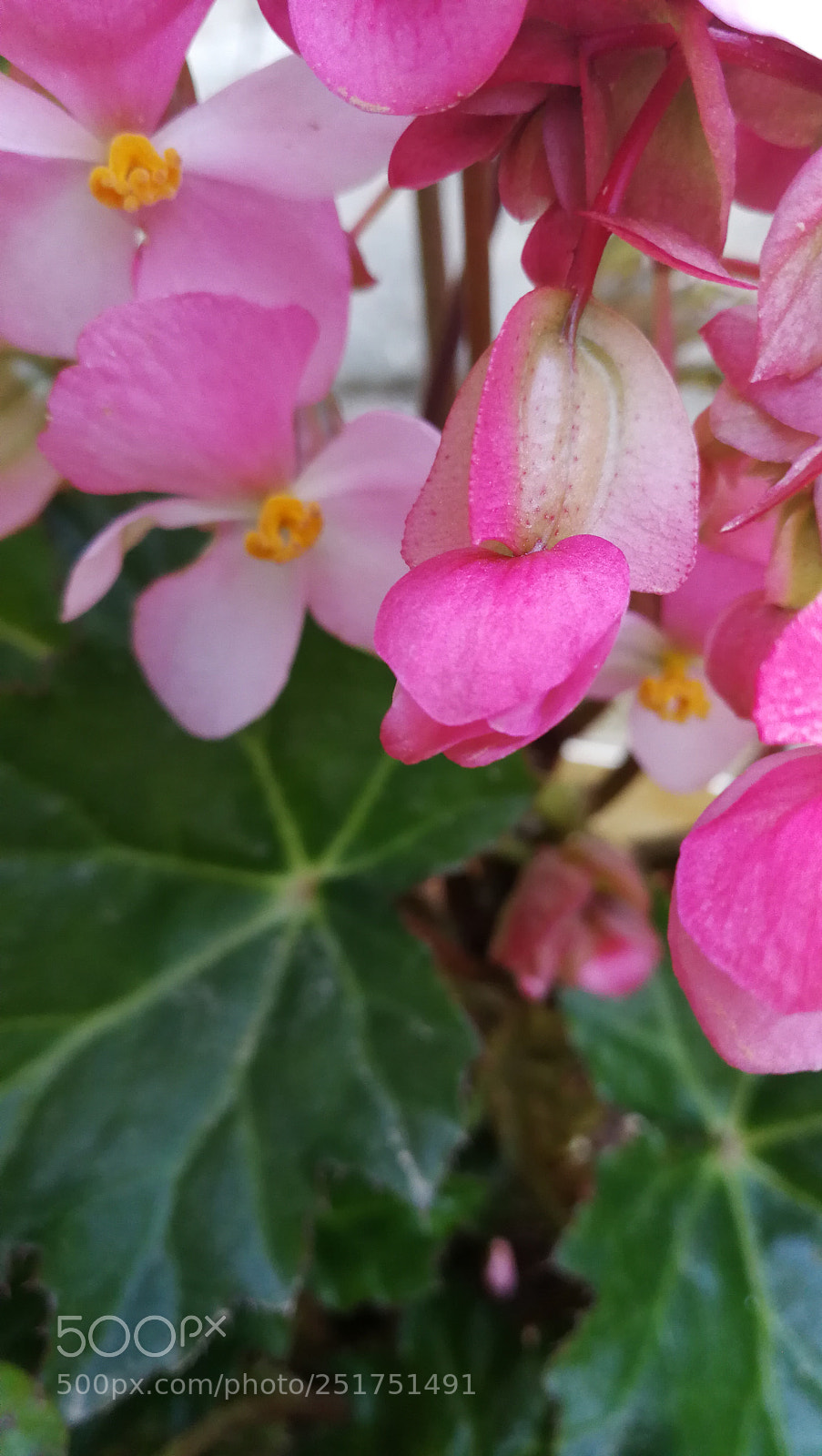 HUAWEI Mate 9 sample photo. Untitled photography