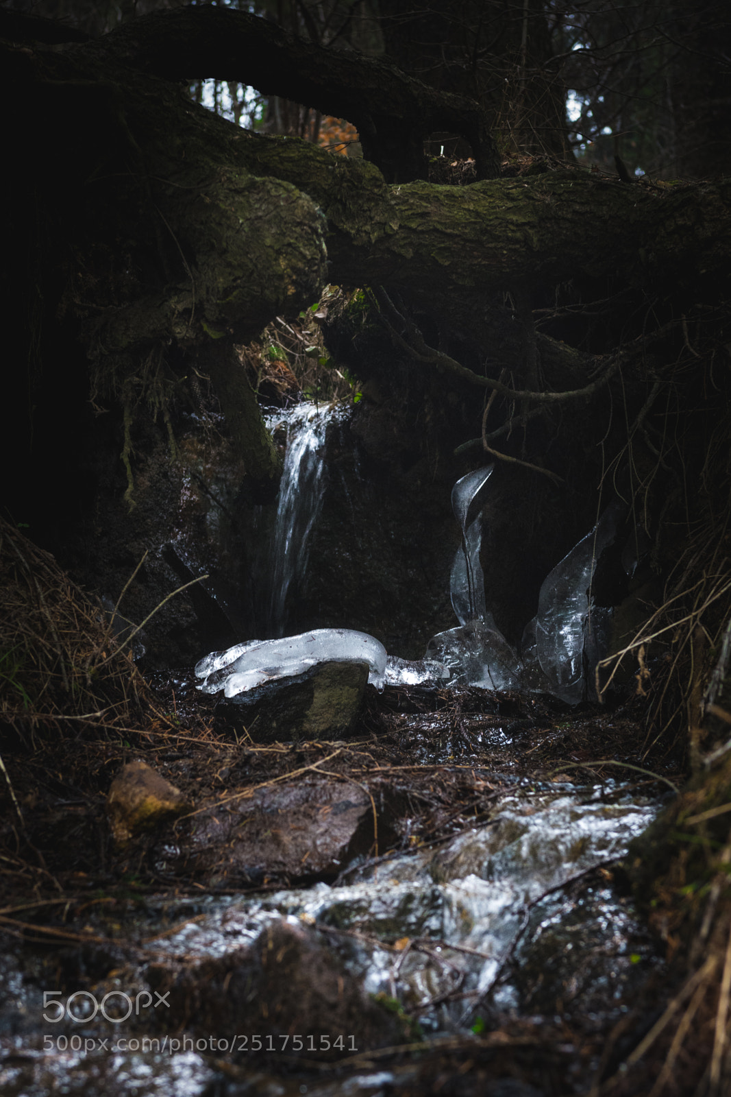 Nikon D7200 sample photo. Still frozen photography