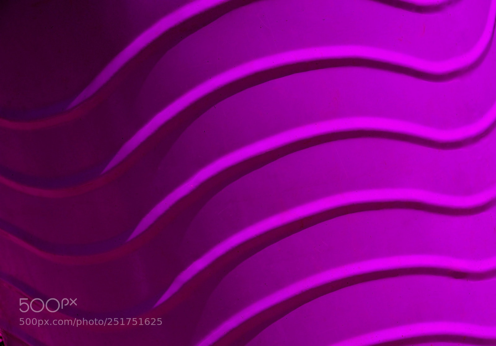 Nikon D700 sample photo. Lines photography