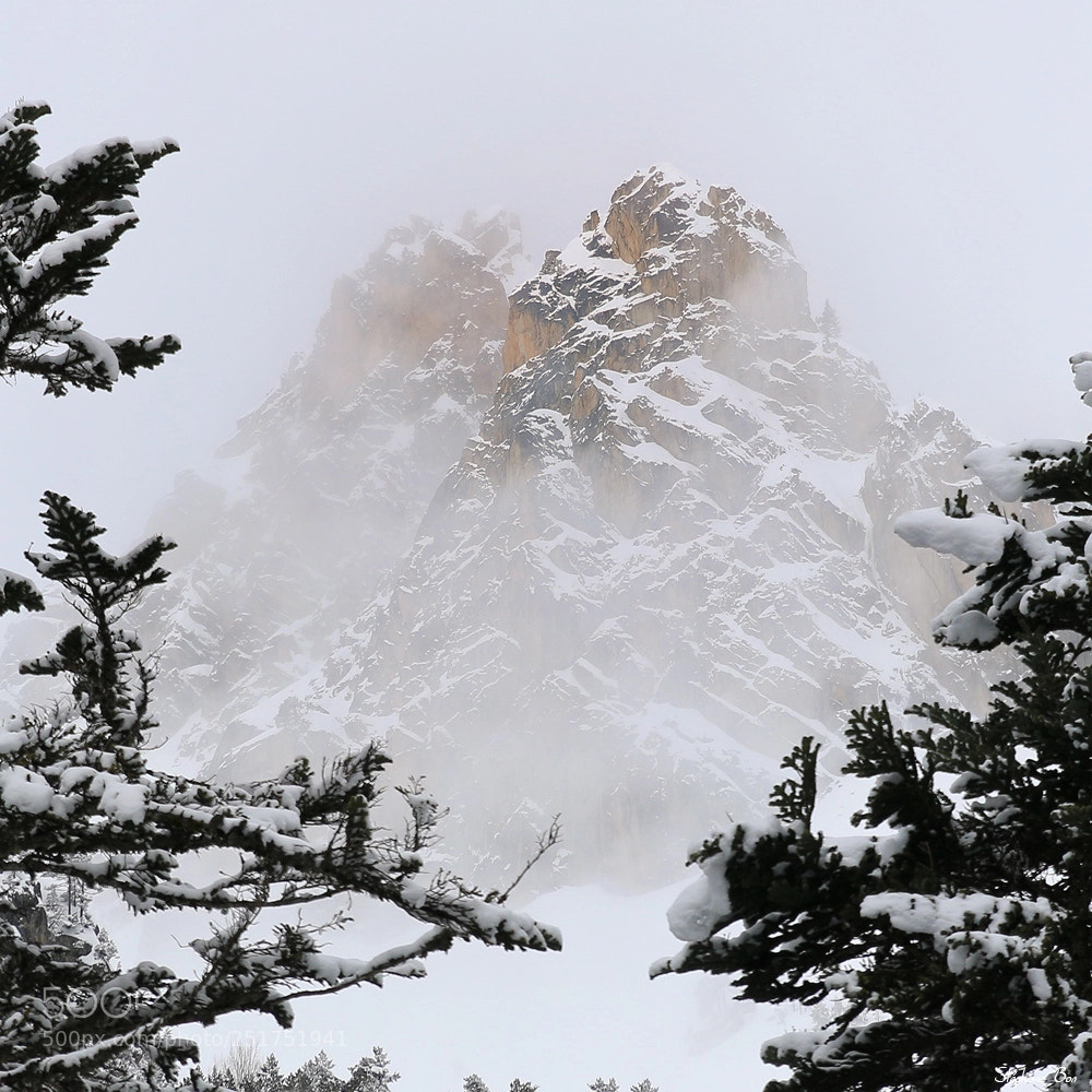 Canon EOS 70D sample photo. Montagne dans la brume photography