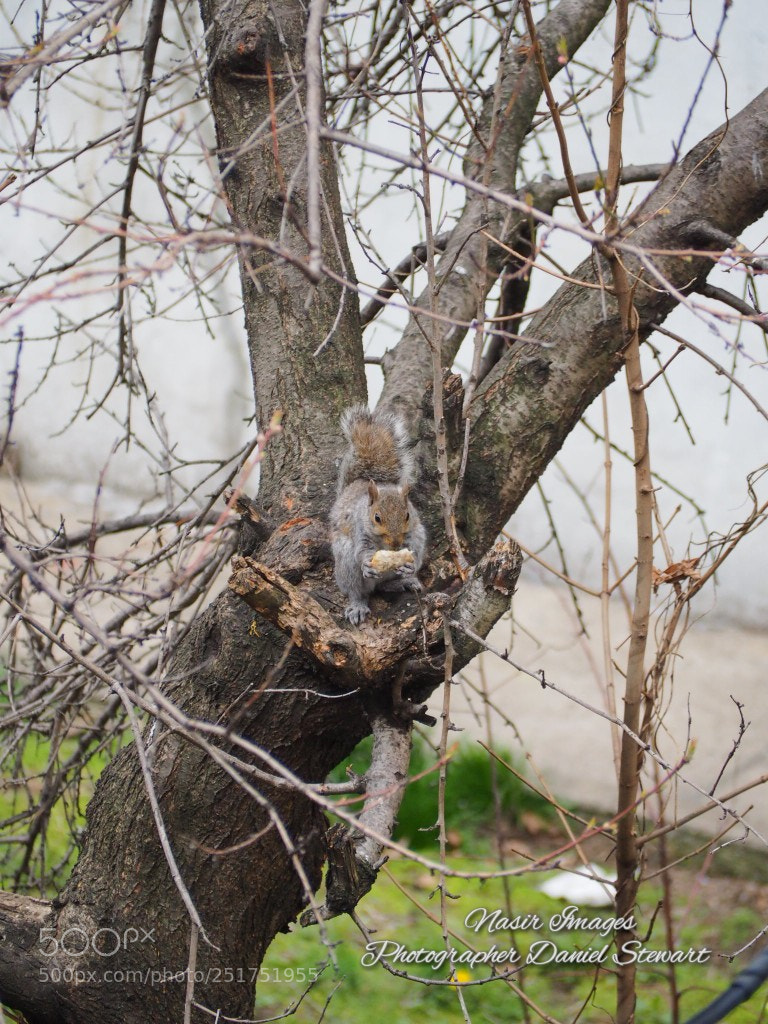 Olympus OM-D E-M10 II sample photo. Untitled photography