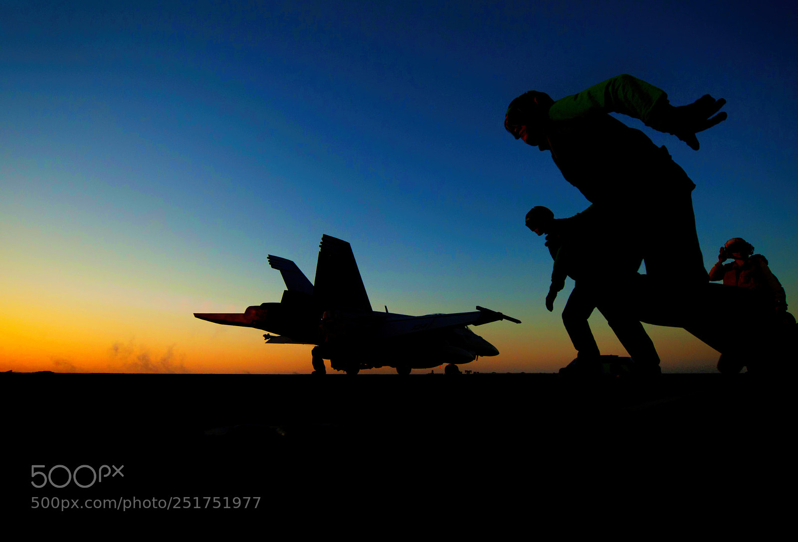 Nikon D700 sample photo. Hornet take off on photography