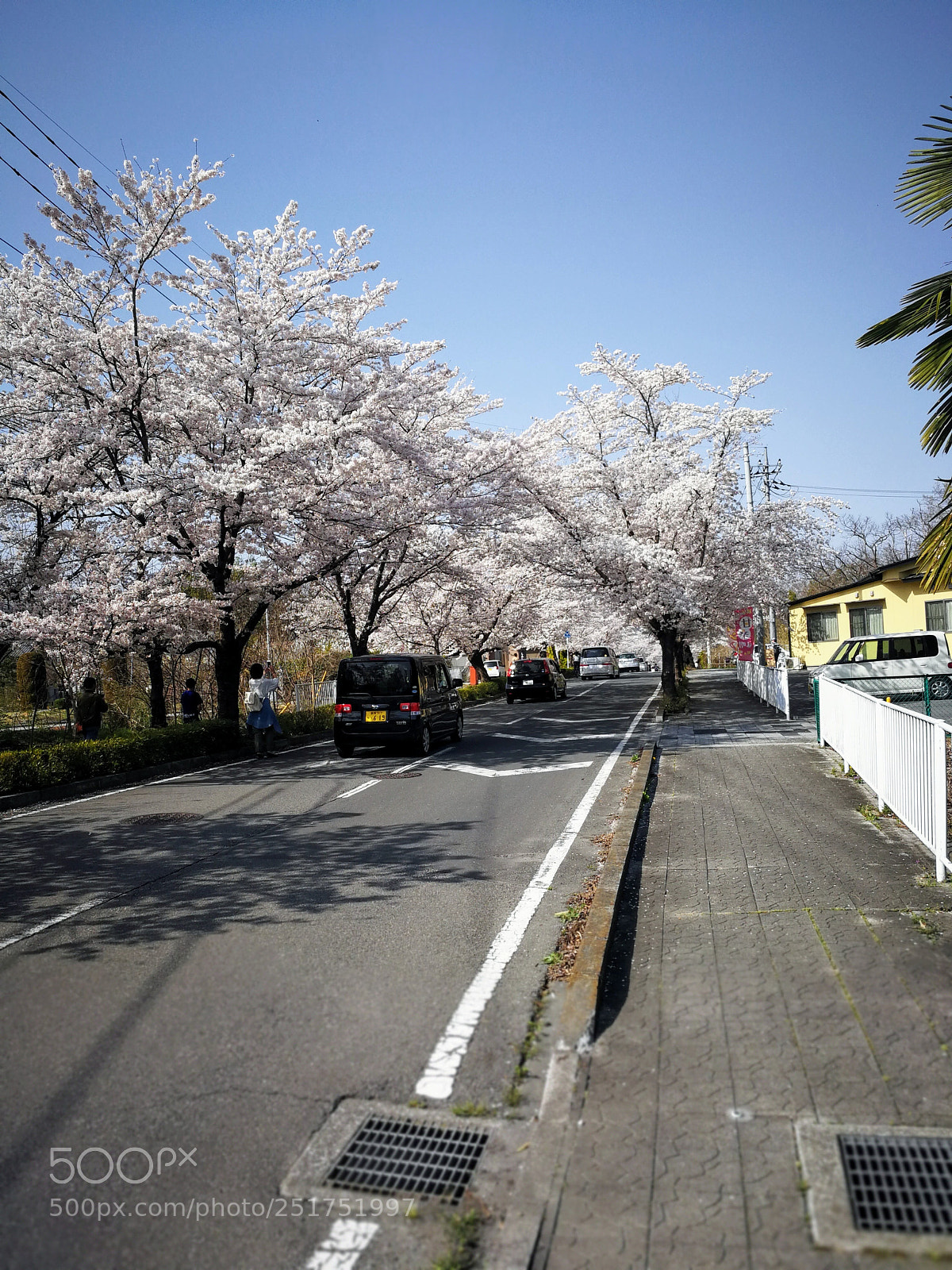 HUAWEI Mate 9 sample photo. 北桜通り photography