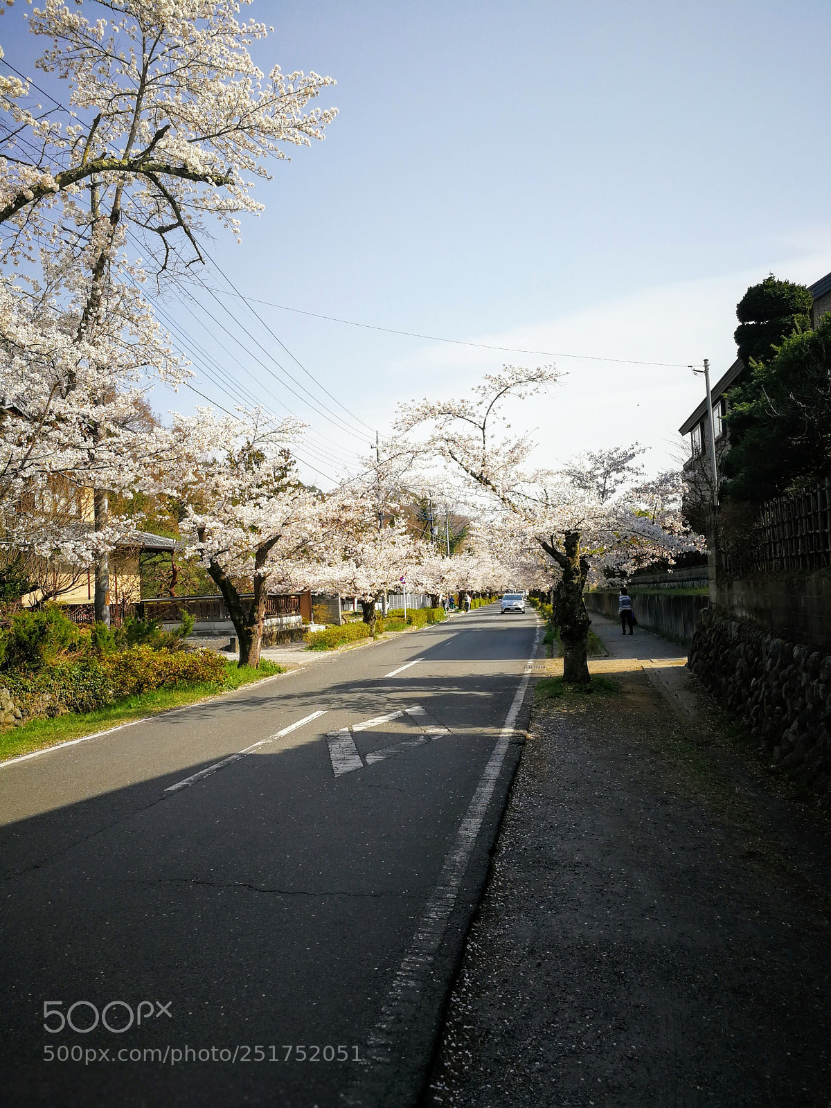 HUAWEI Mate 9 sample photo. 北桜通り photography