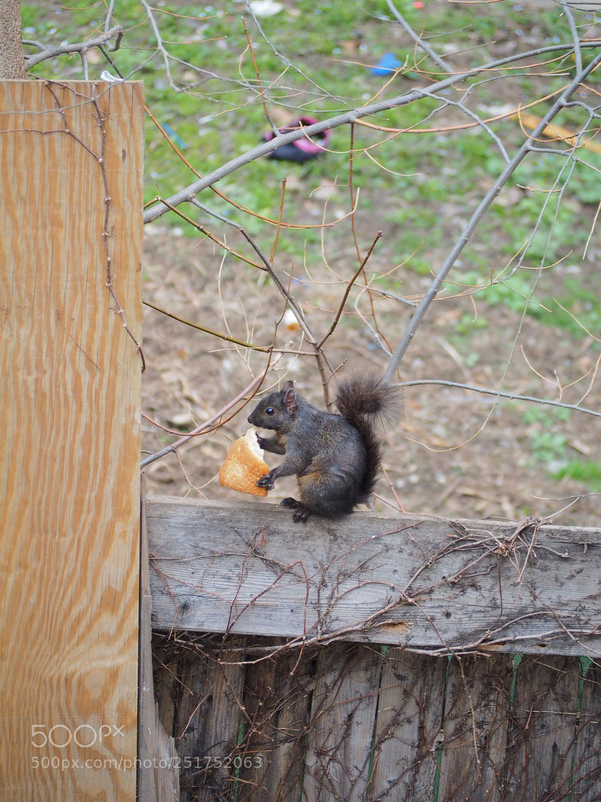 Olympus OM-D E-M10 II sample photo. Untitled photography