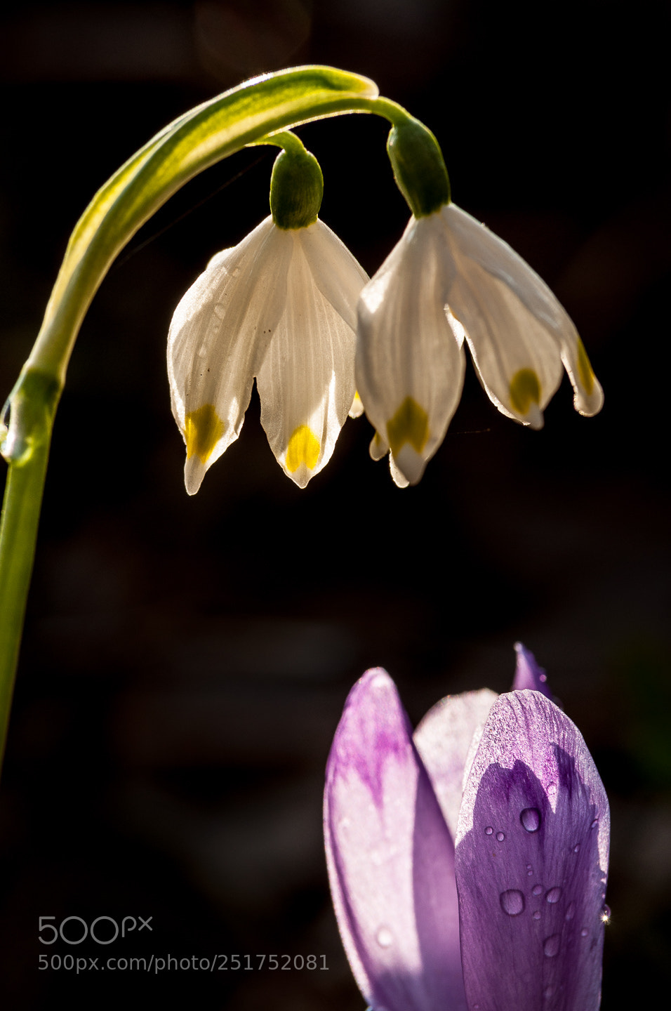 Nikon D90 sample photo. Hello photography