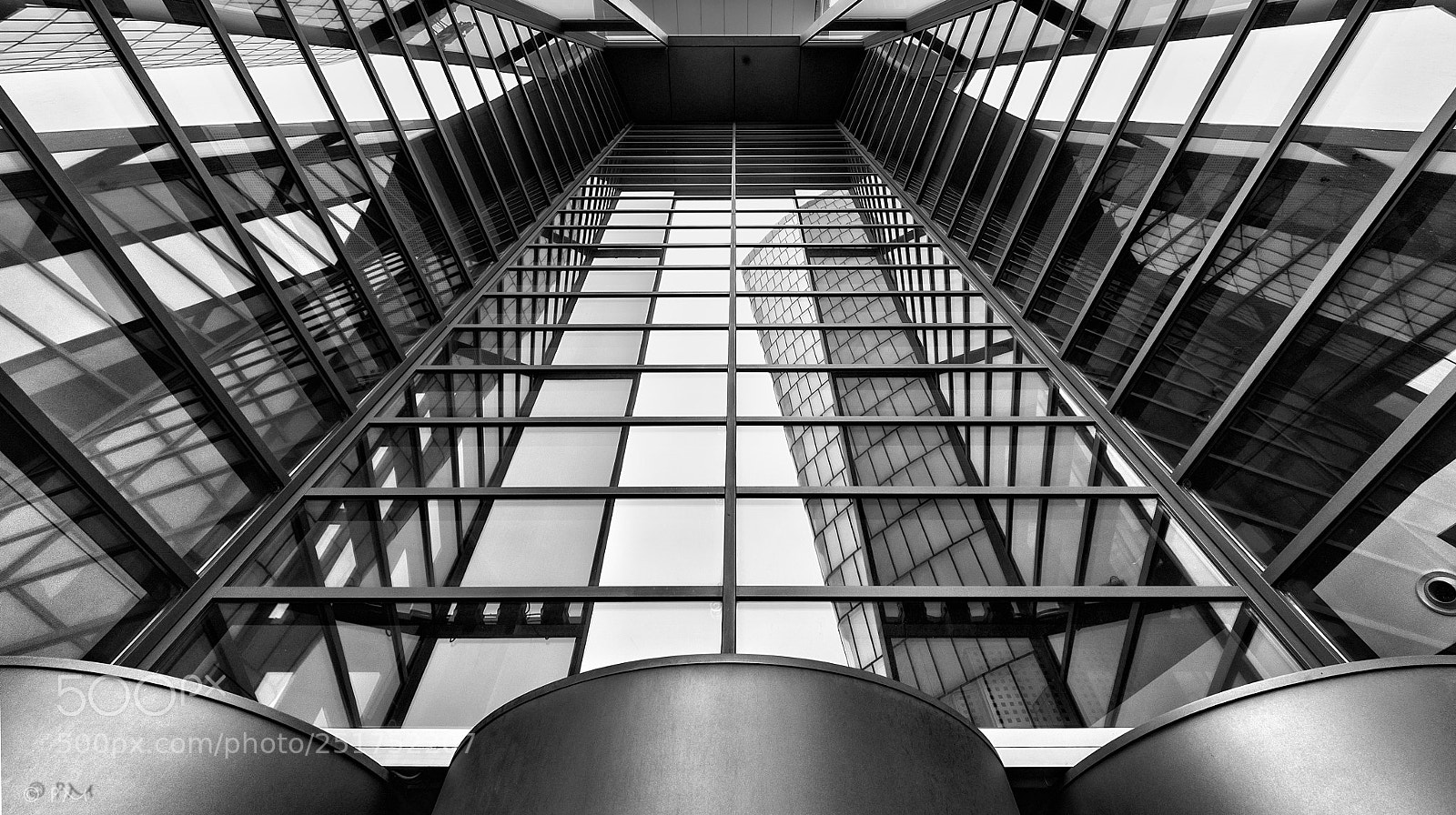 Nikon D3 sample photo. Look up photography