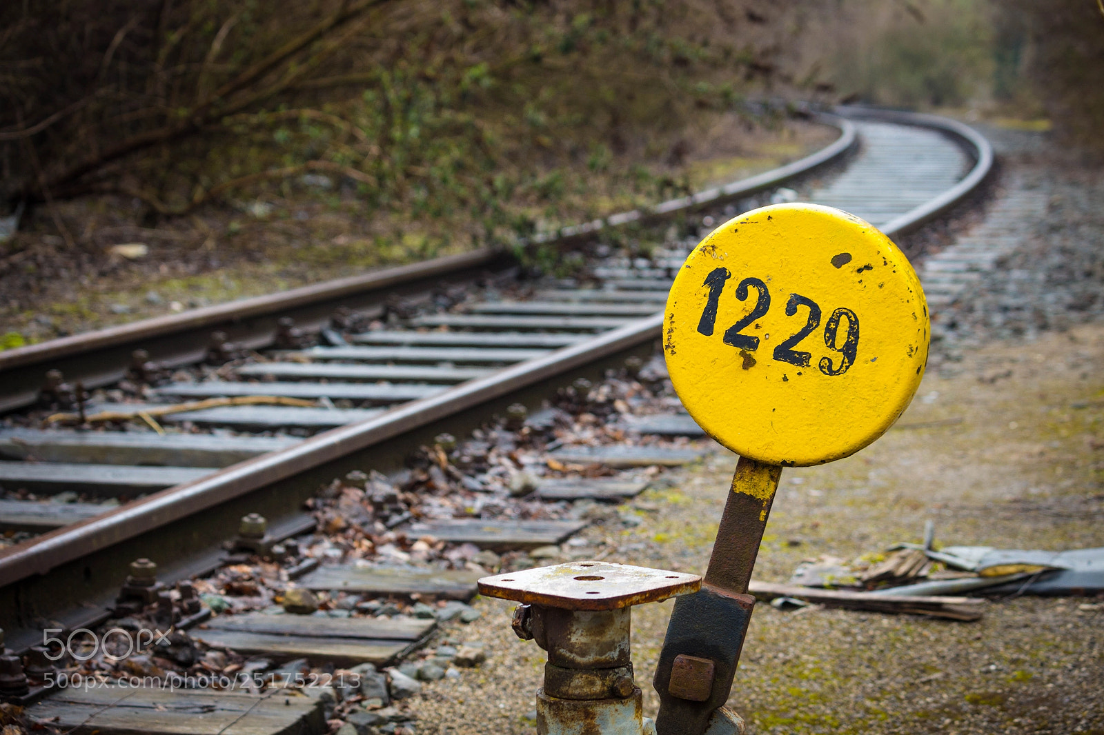 Canon EOS 700D (EOS Rebel T5i / EOS Kiss X7i) sample photo. Tournout on decommissioned track photography