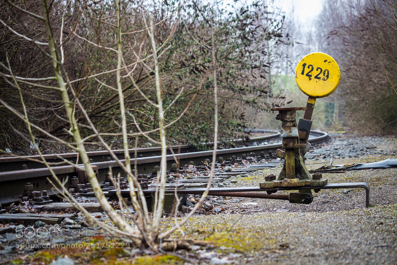 Canon EOS 700D (EOS Rebel T5i / EOS Kiss X7i) sample photo. Tournout on decommissioned track photography