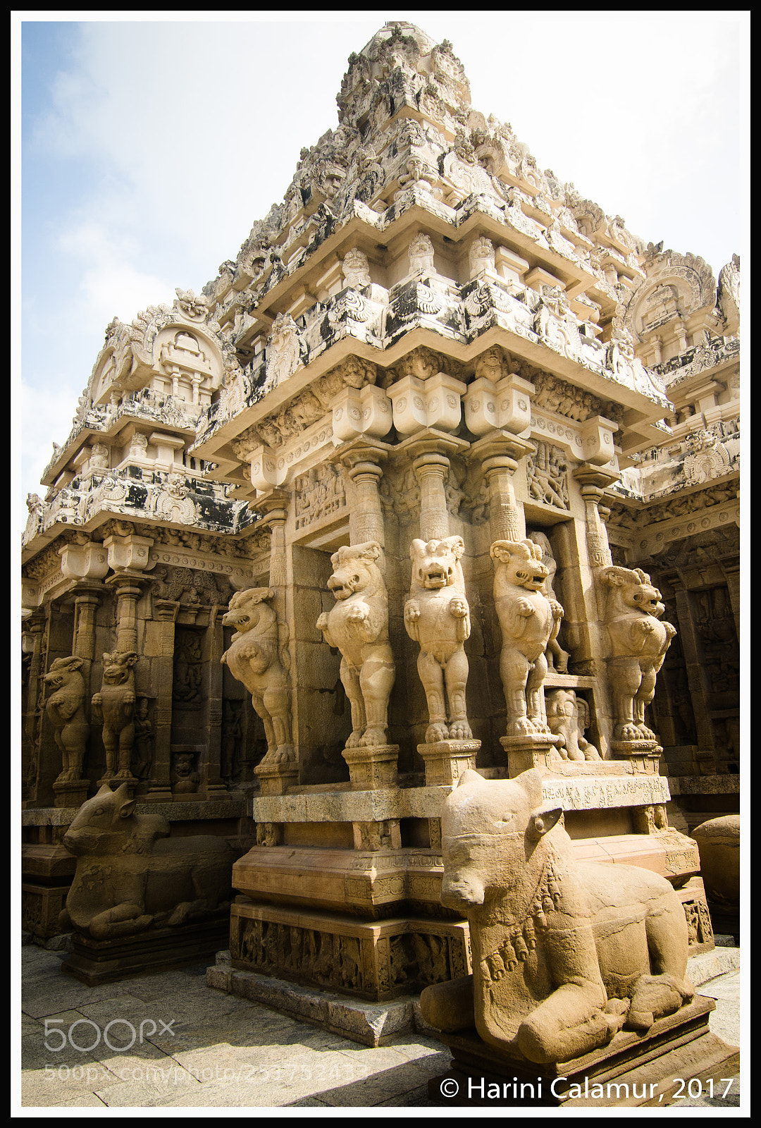 Nikon D7000 sample photo. Kailasanathar temple facade photography