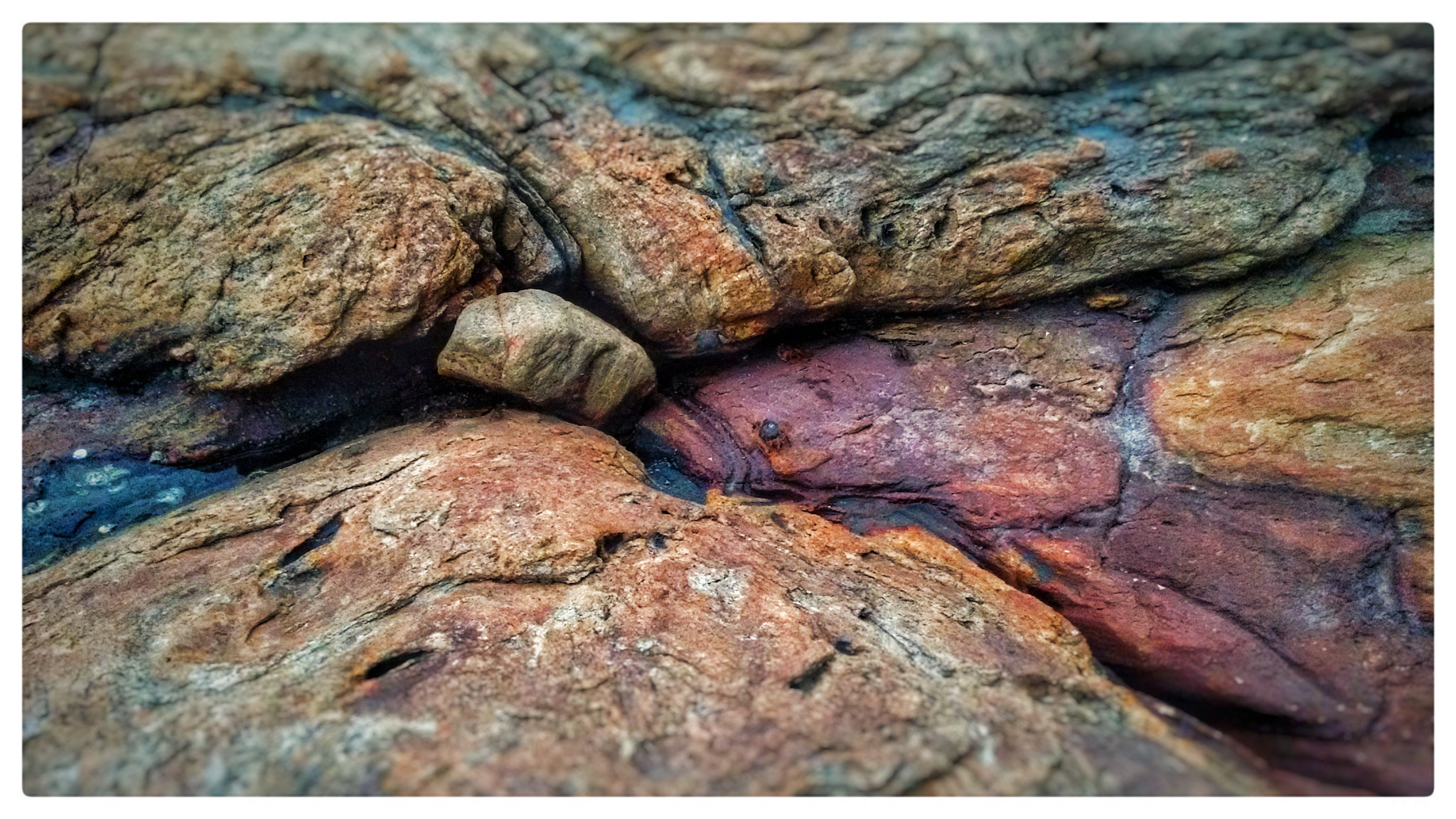 Motorola Moto G (2nd Gen) sample photo. Sea crab photography