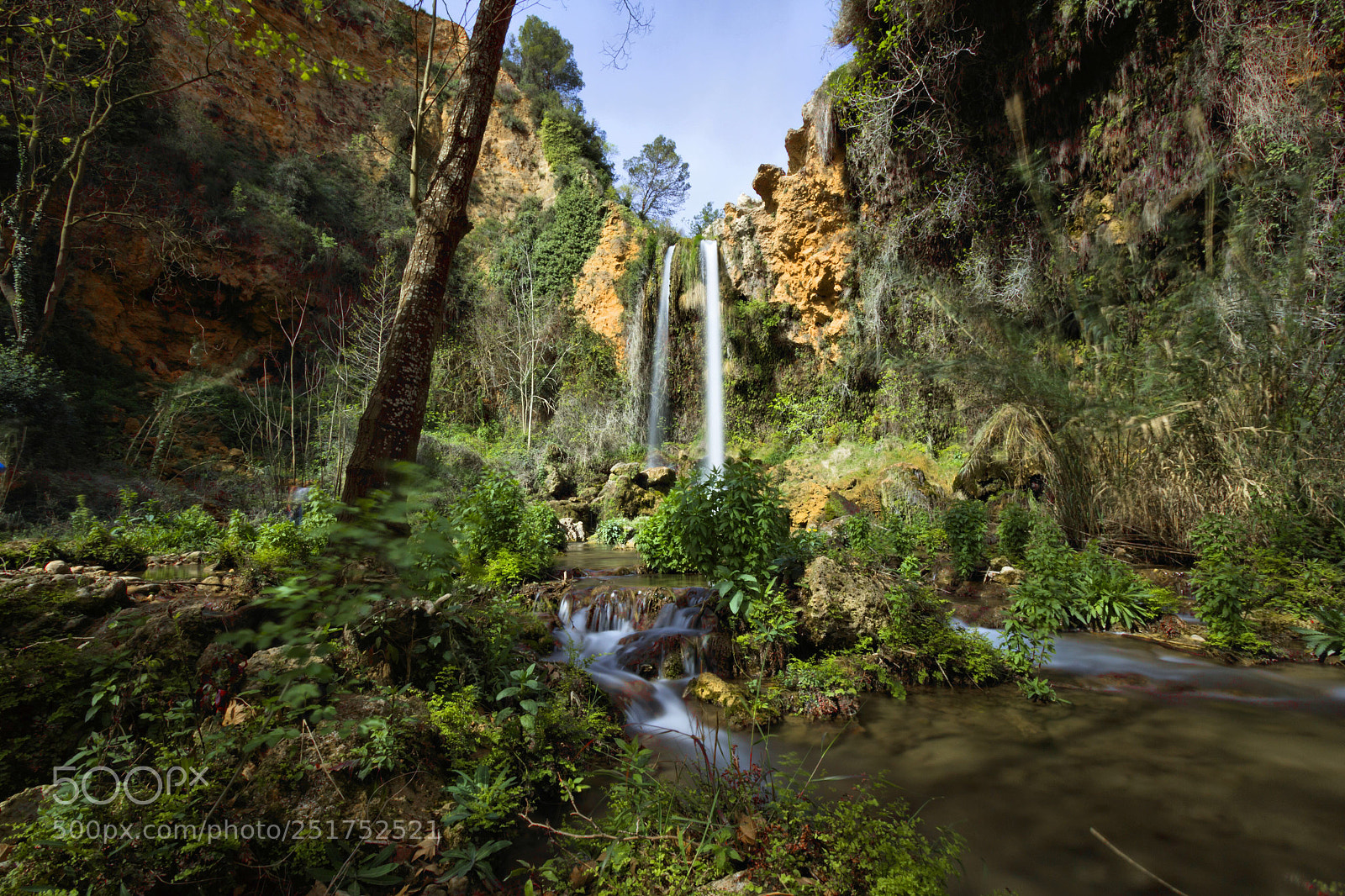 Canon EOS 60D sample photo. Jurasic forest photography
