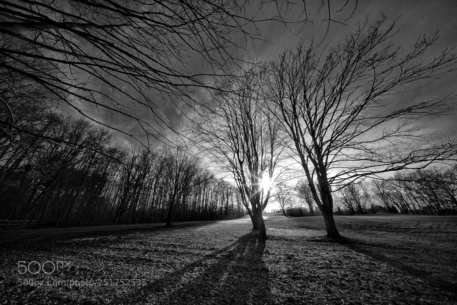 Sony a7R sample photo. The golf course photography