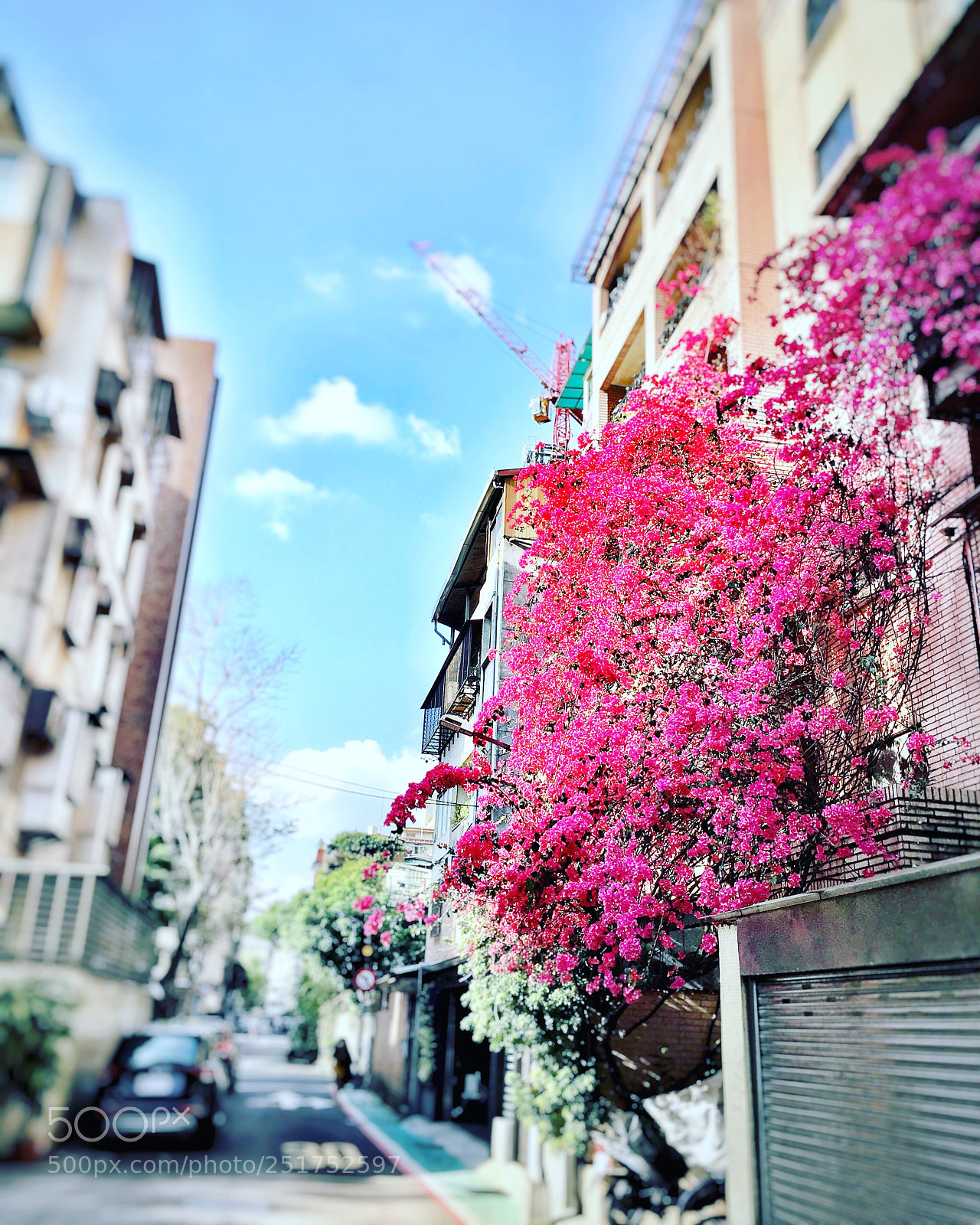 Apple iPhone 6s Plus sample photo. Taipei alley photography