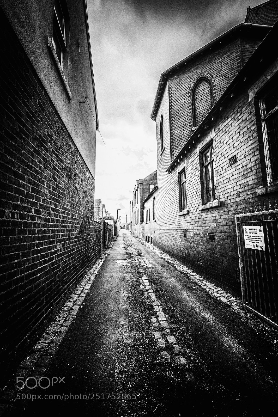 Nikon D5600 sample photo. Leamington road alley photography