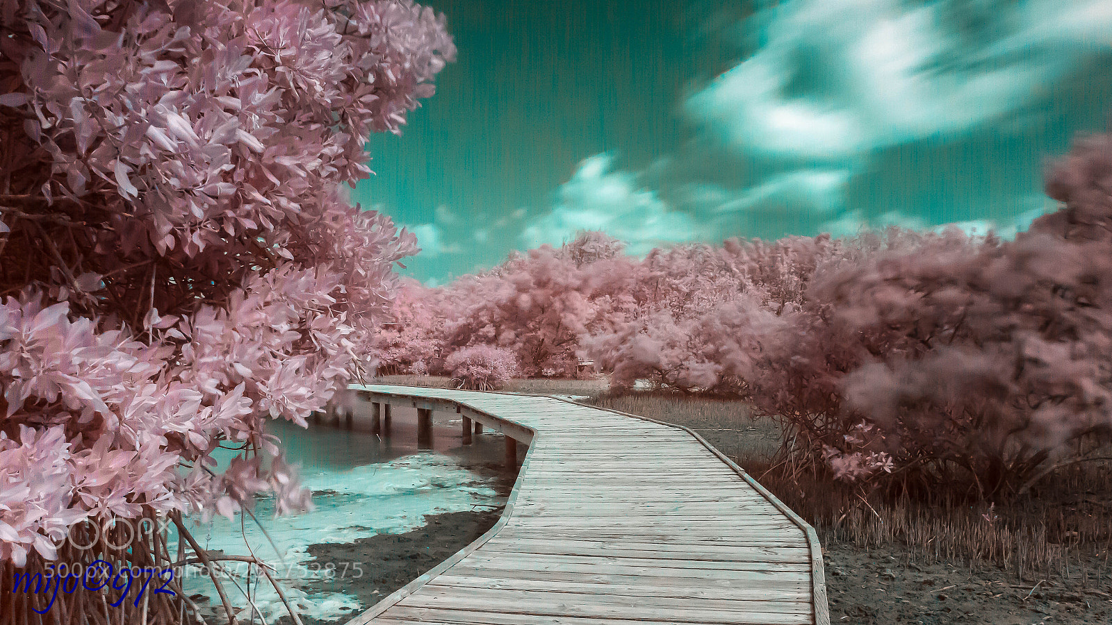 Canon EOS 7D sample photo. Infrared photography