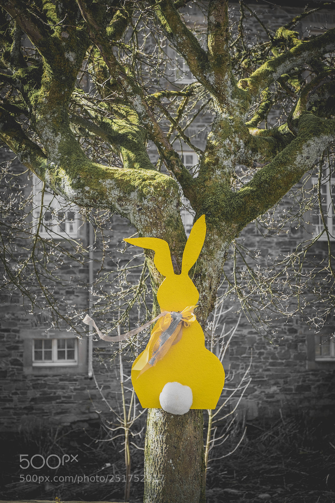 Fujifilm X-T20 sample photo. Osterhase am baum photography