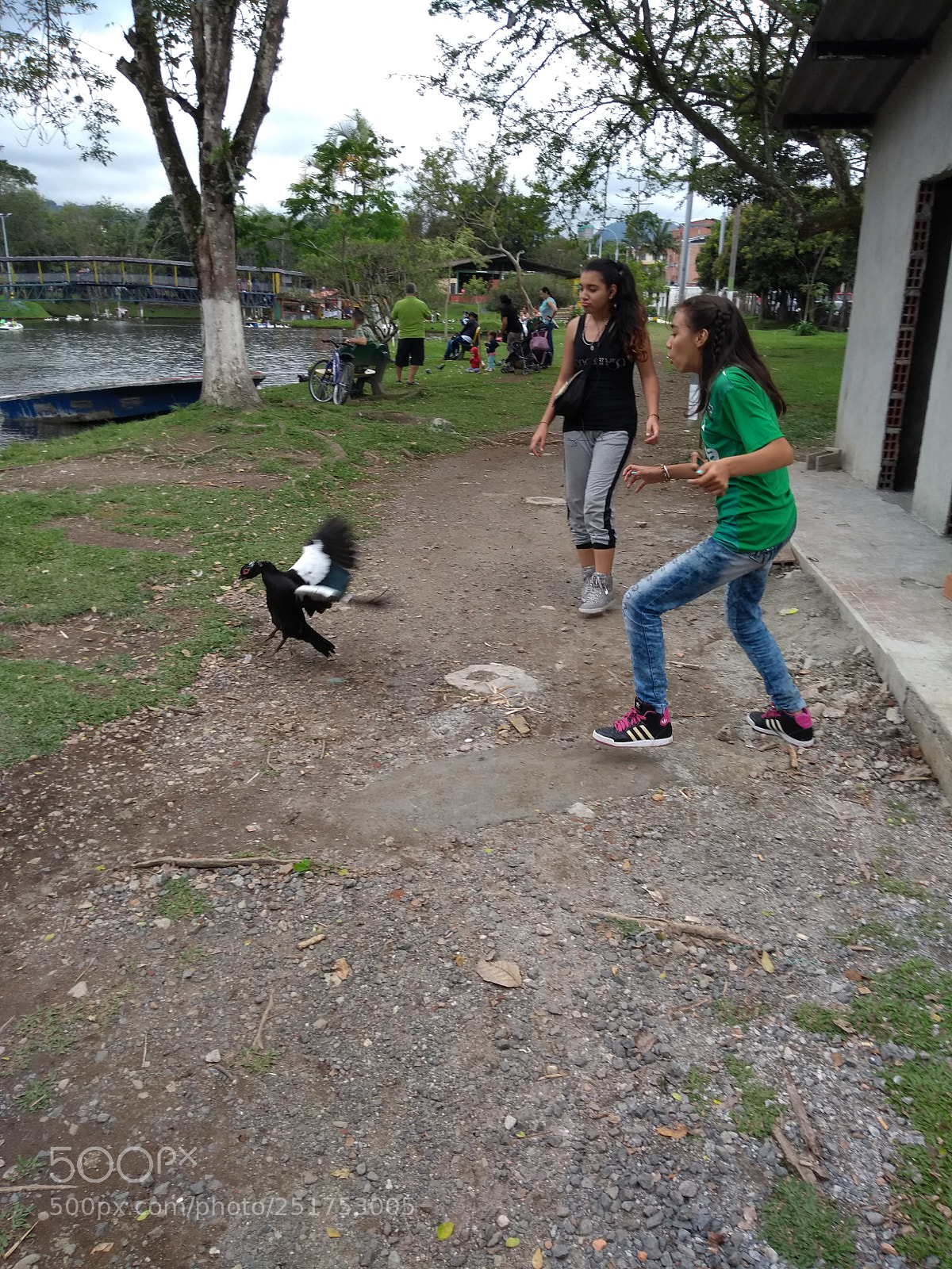 Motorola Moto G (5th Gen) sample photo. Intentando coger al pato.. photography