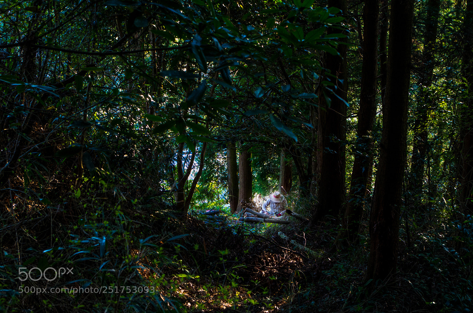 Pentax K-30 sample photo. Oldman living in the photography