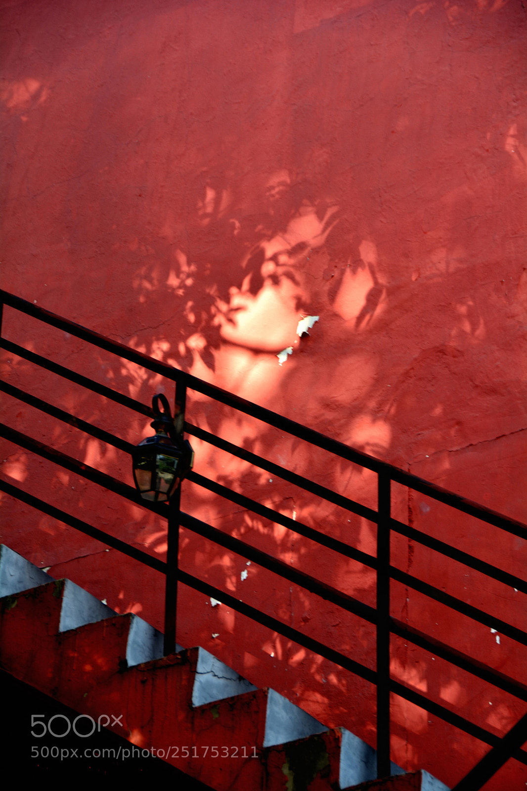 Nikon D5200 sample photo. Shadows on the red photography