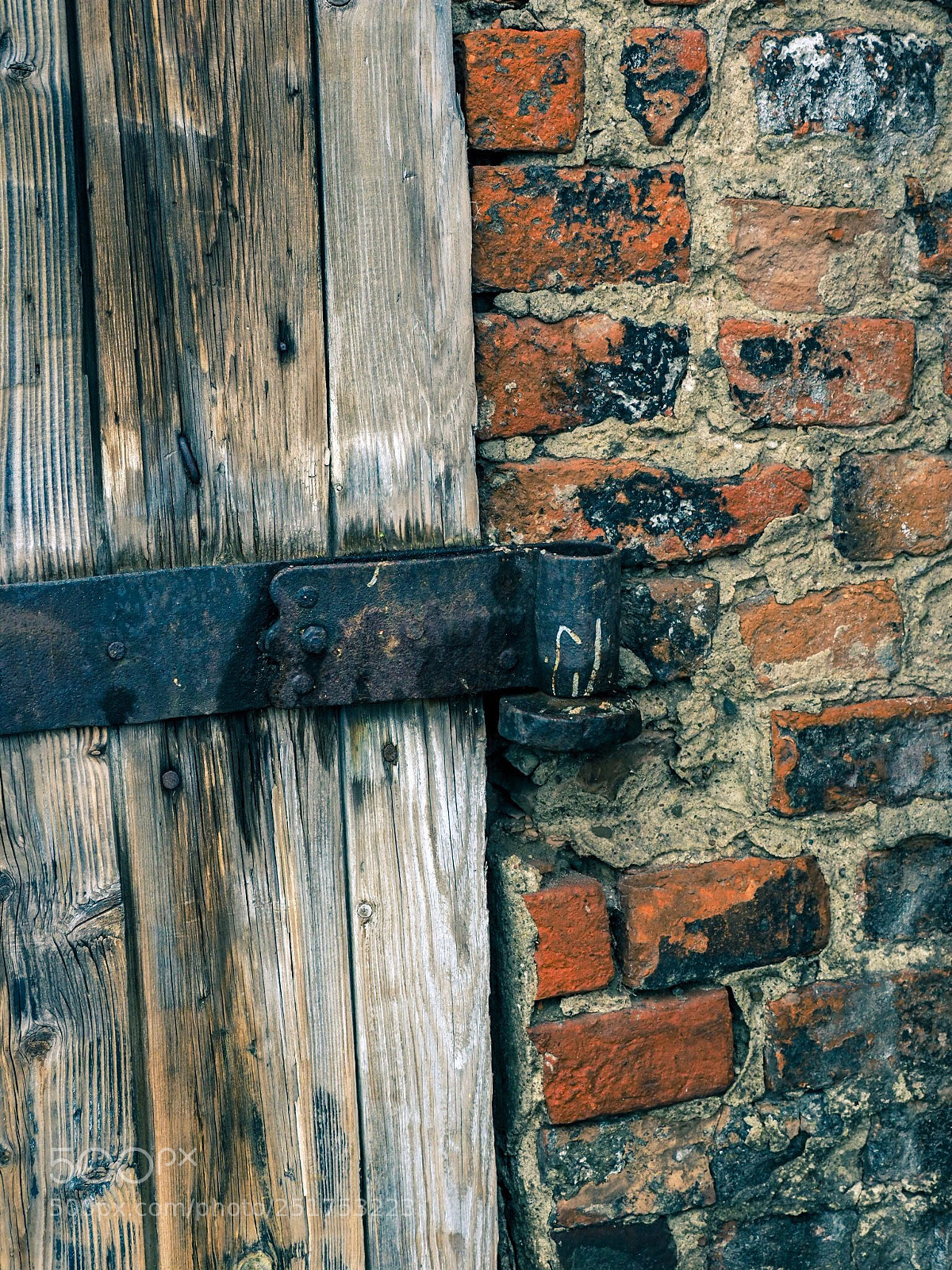 Olympus OM-D E-M1 Mark II sample photo. The door meet the photography