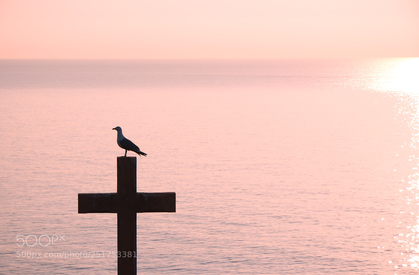 Canon EOS 80D sample photo. Cross photography