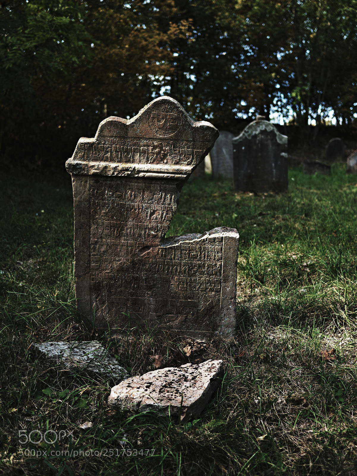 Panasonic Lumix DMC-G85 (Lumix DMC-G80) sample photo. Jewish cemetery photography