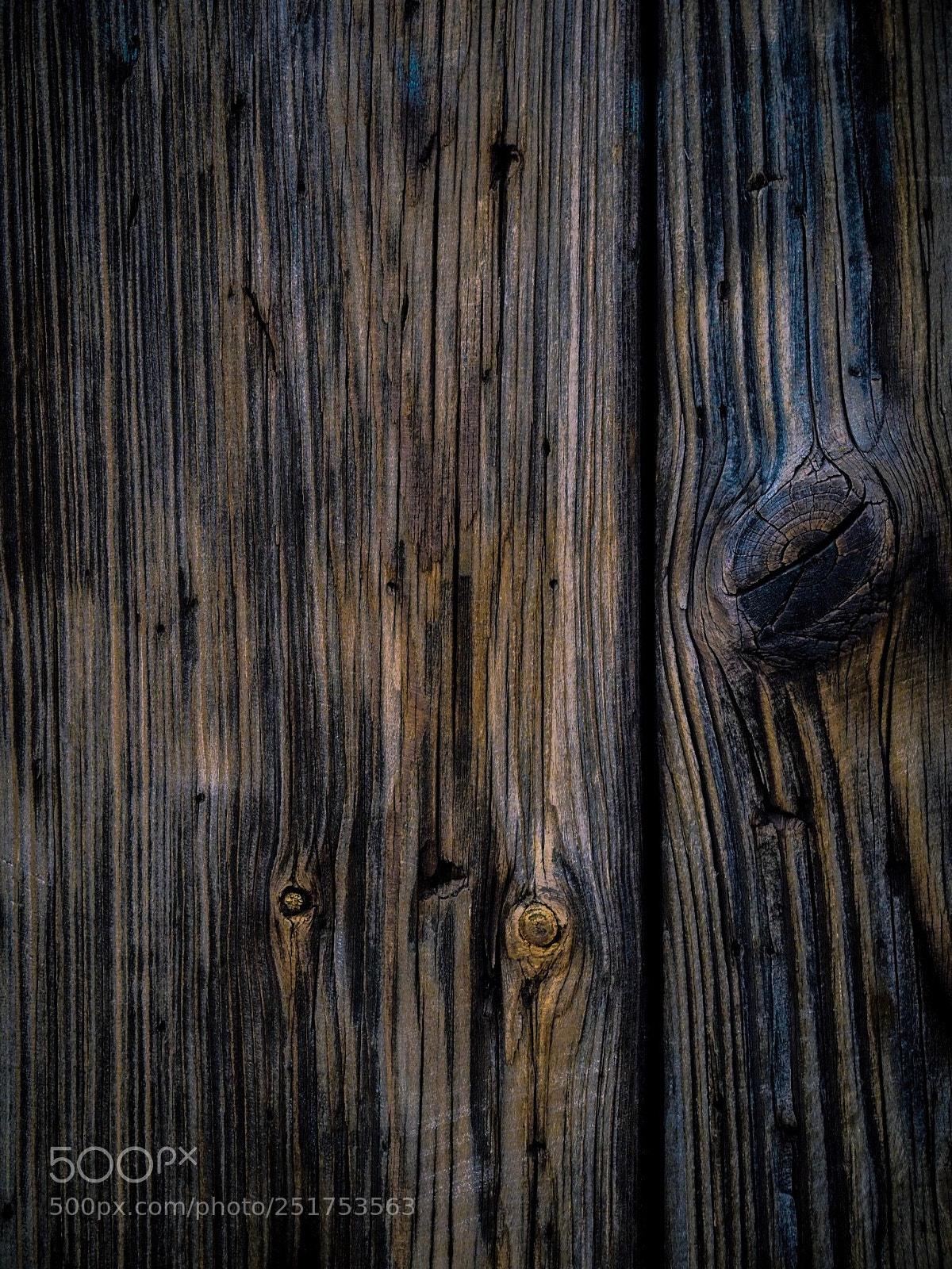 Olympus OM-D E-M1 Mark II sample photo. A beautiful part of photography