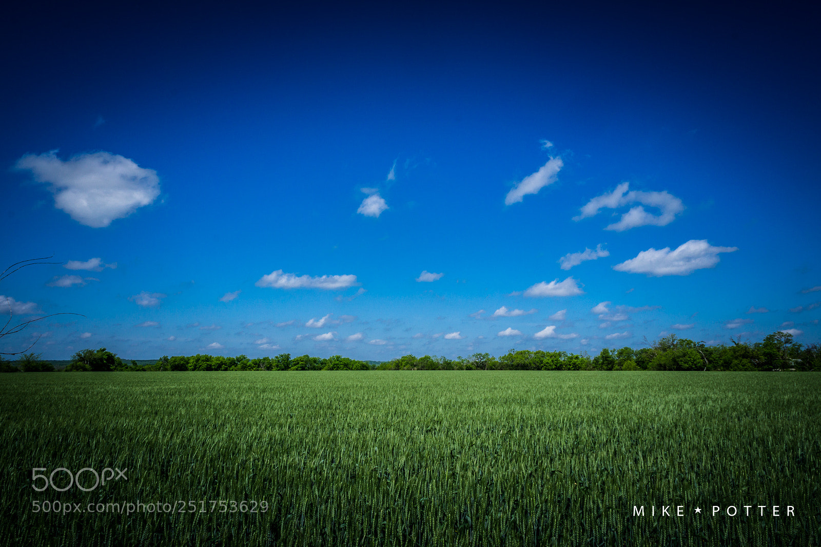 Sony a6000 sample photo. Field of dreams photography