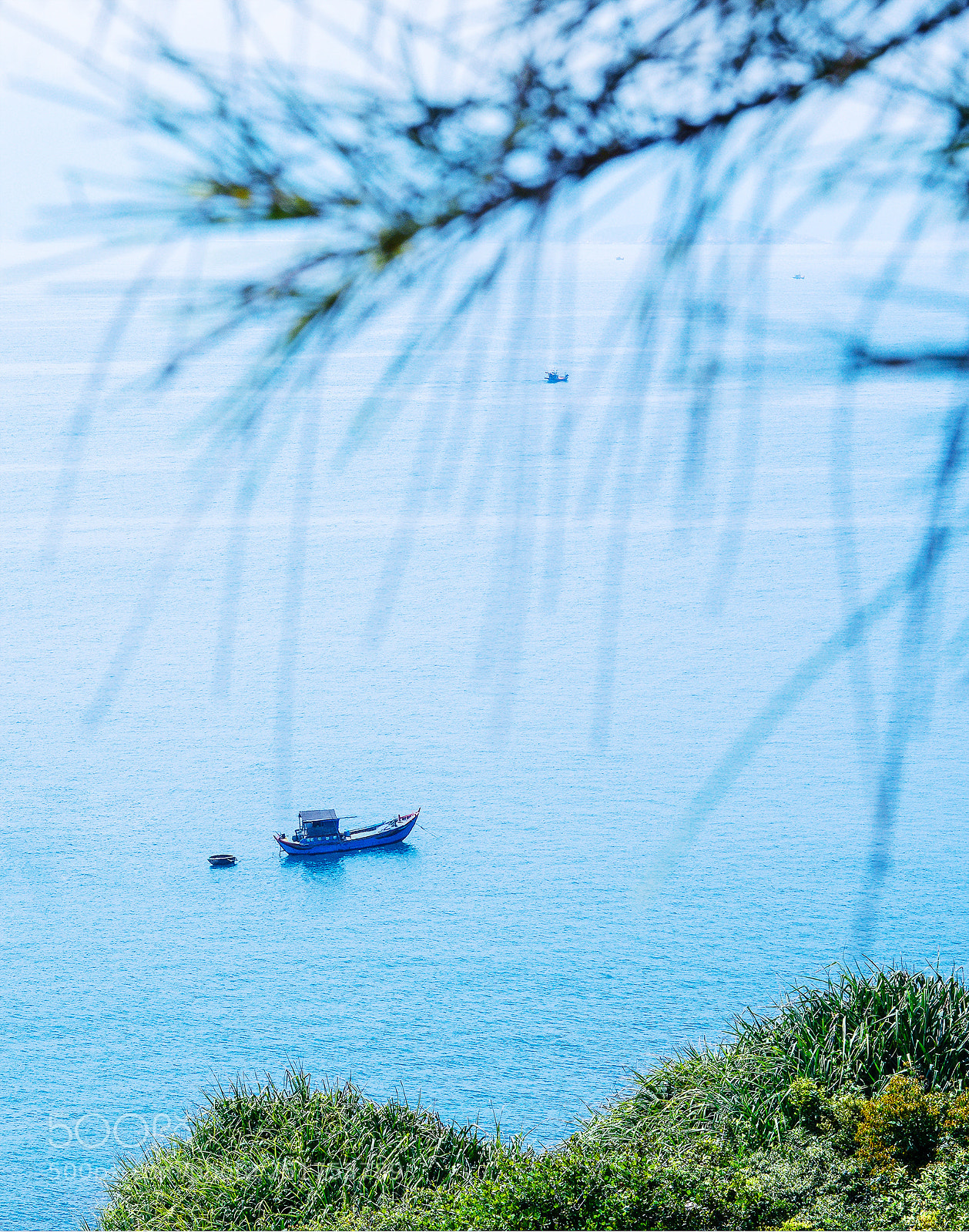 Nikon D800 sample photo. Ra kh i o photography