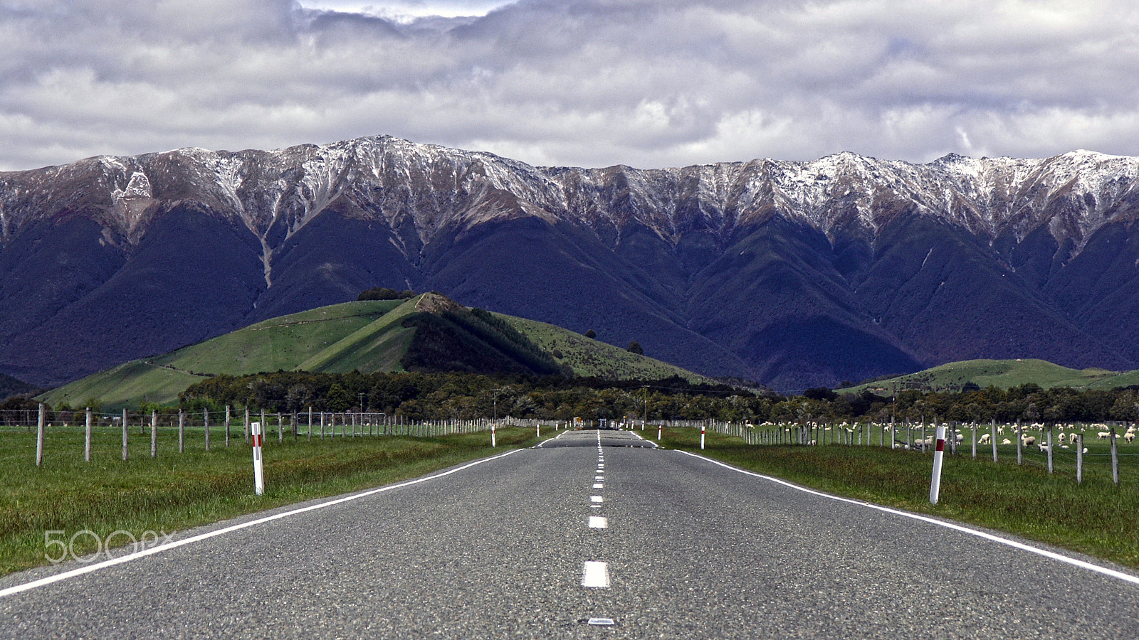 Olympus C8080WZ sample photo. South island 'rush hour' photography