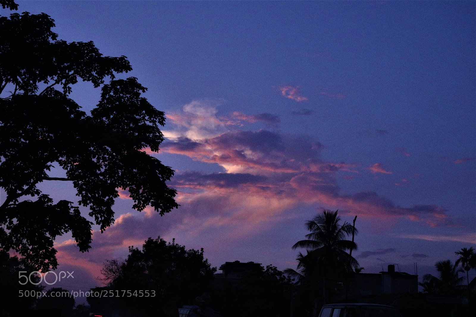 Canon EOS 750D (EOS Rebel T6i / EOS Kiss X8i) sample photo. Tree and the sky photography