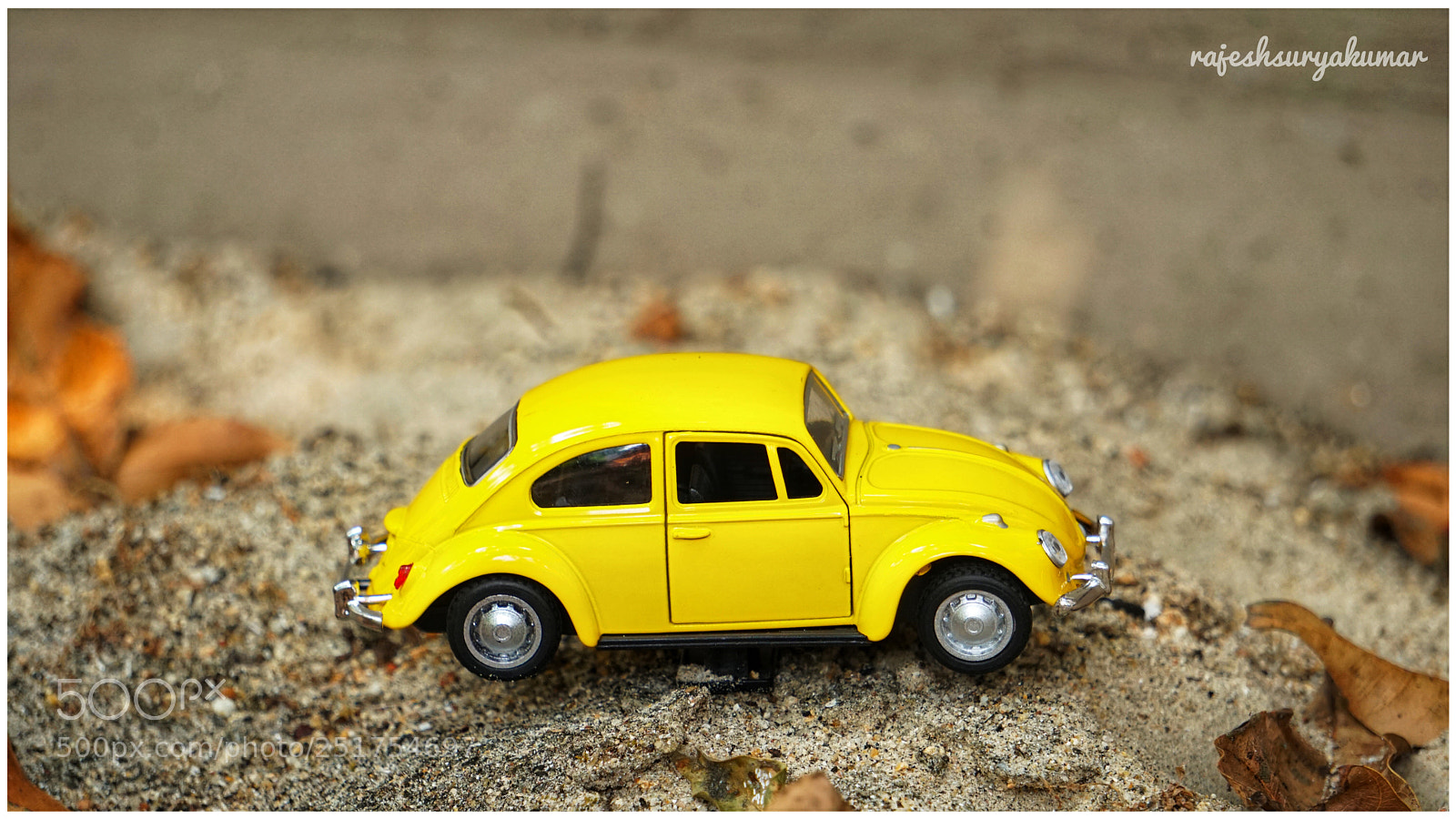 Sony a6300 sample photo. Beetle photography