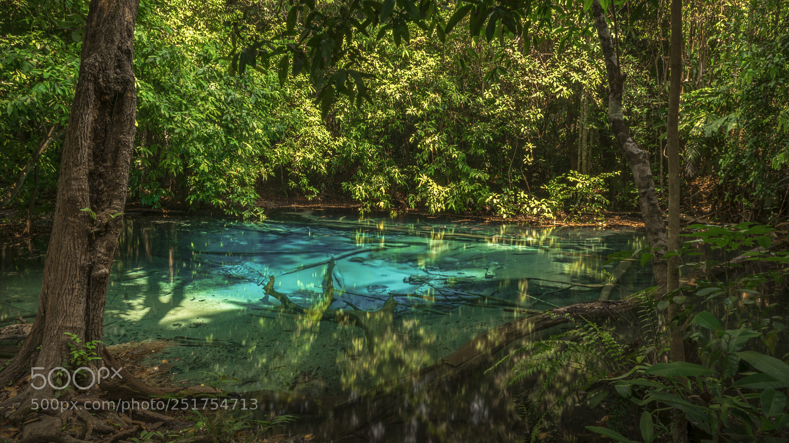 Sony a7R II sample photo. Blue pool photography