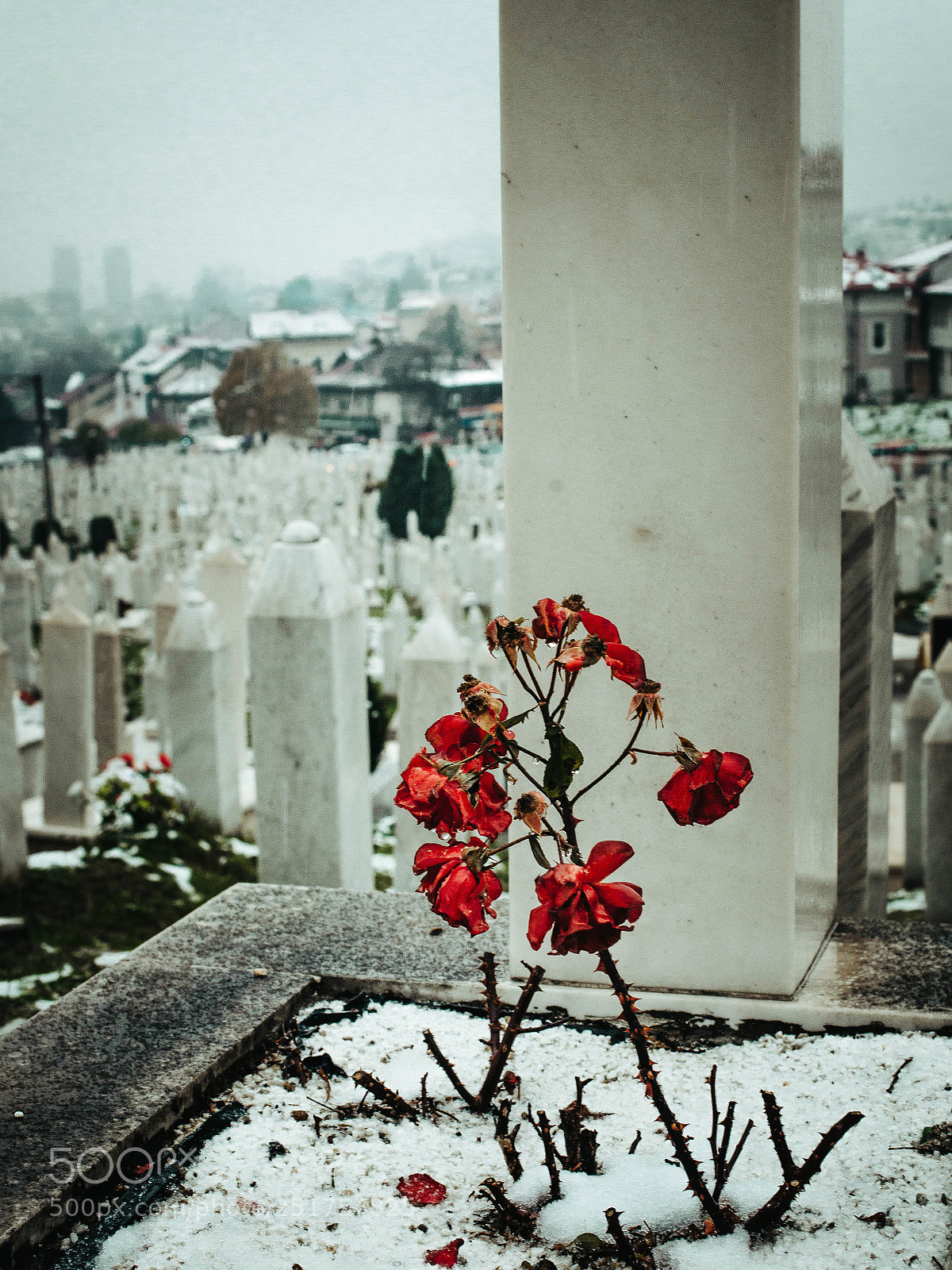 Nikon D610 sample photo. Bosnia and herzegovina |sarajevo photography