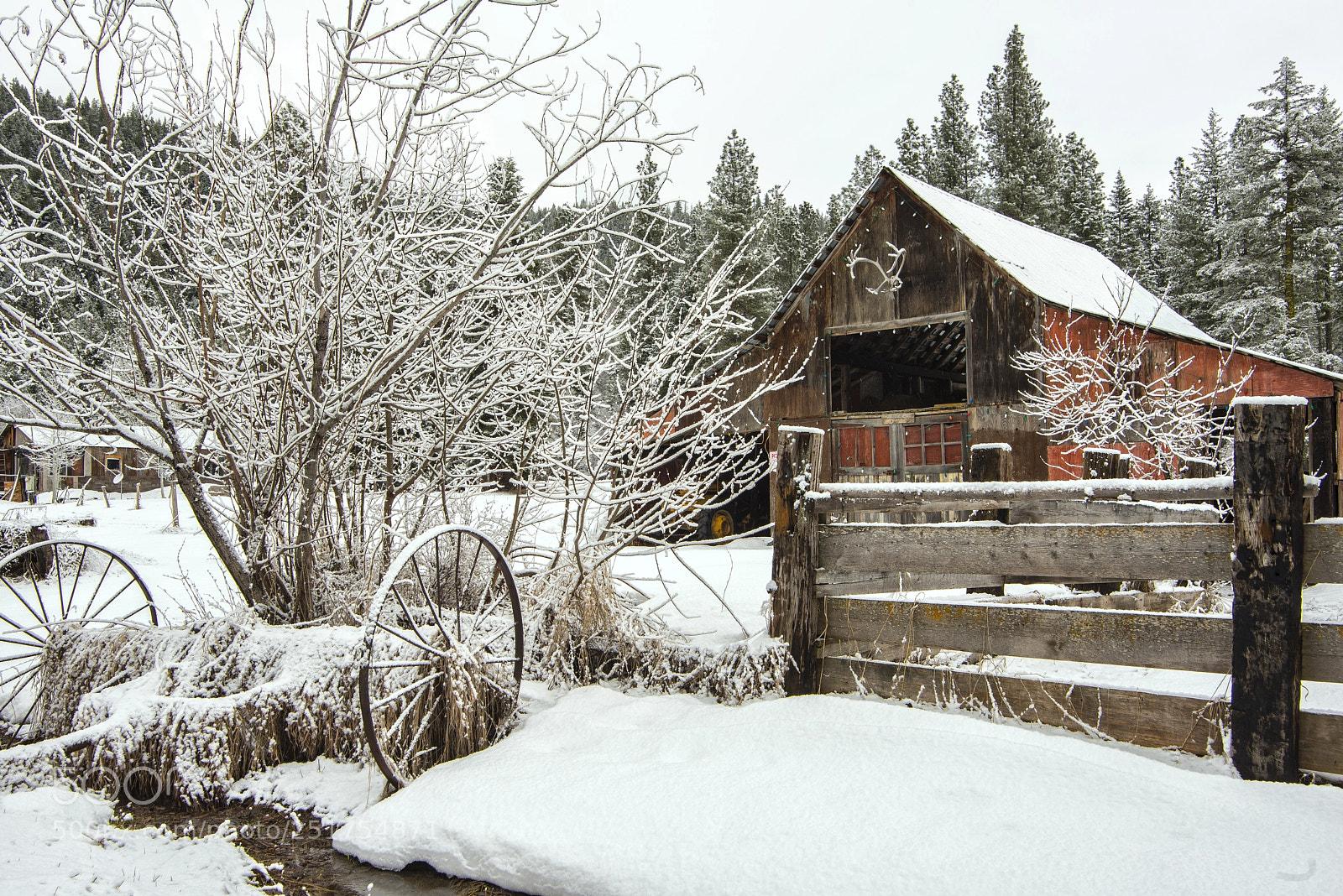 Nikon D800 sample photo. Farm photography