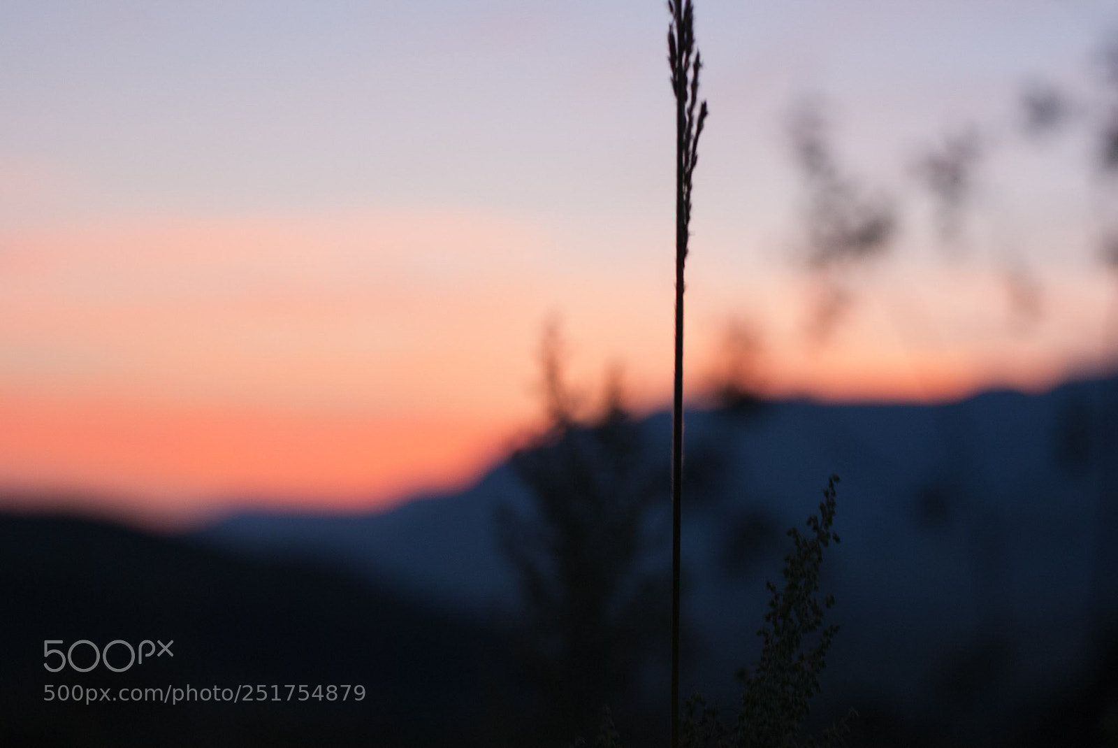 Nikon D60 sample photo. Sunrise in the berg photography