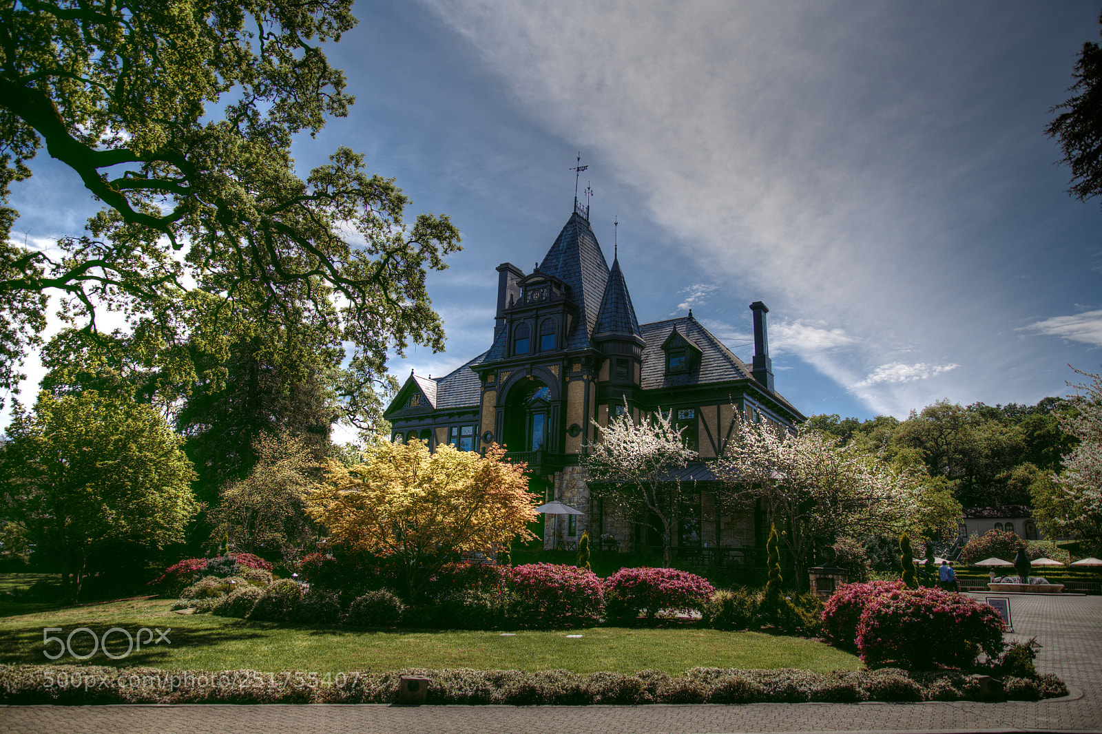 Nikon D850 sample photo. Berhinger winery photography
