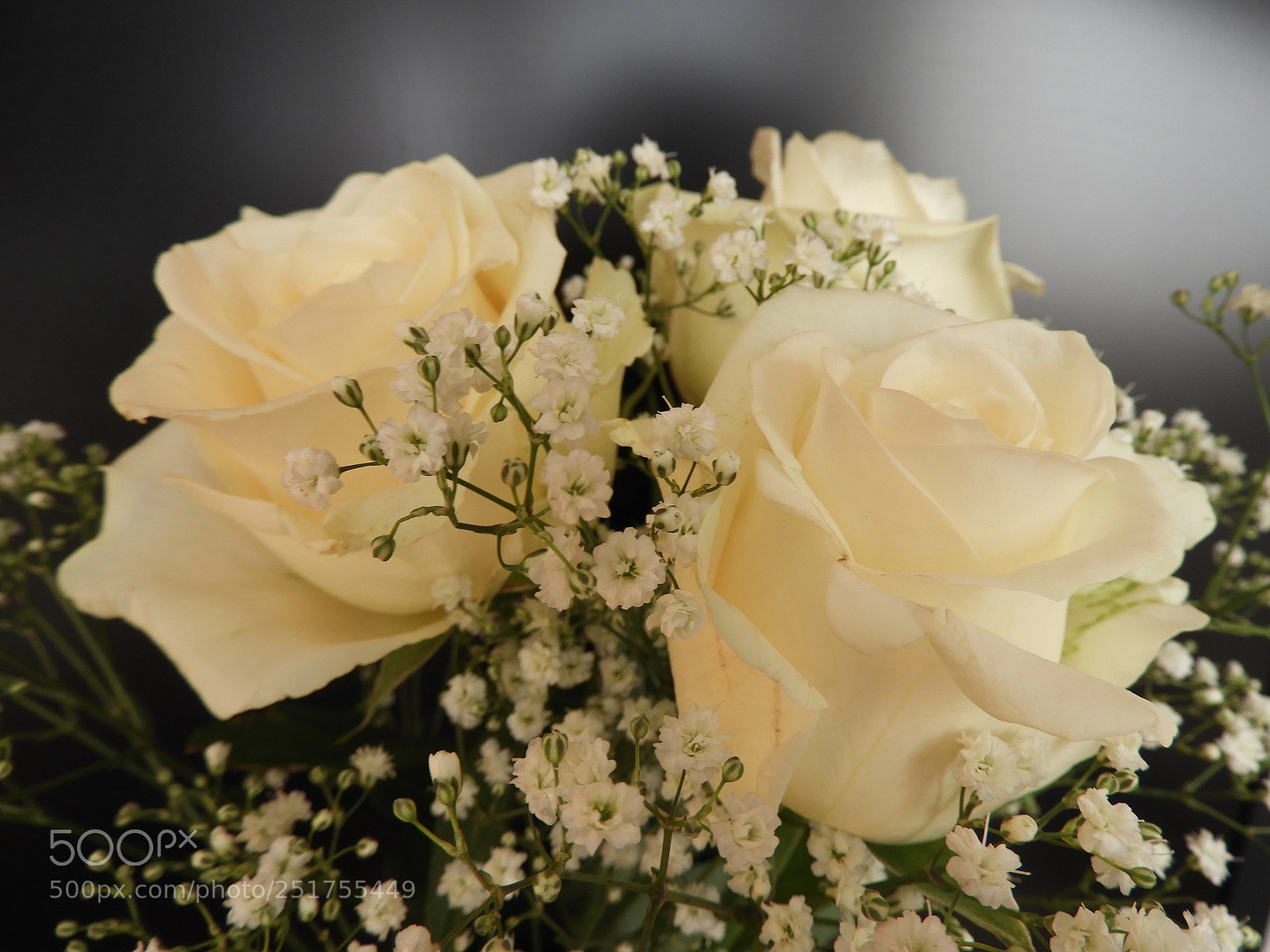 Nikon Coolpix B700 sample photo. White roses photography