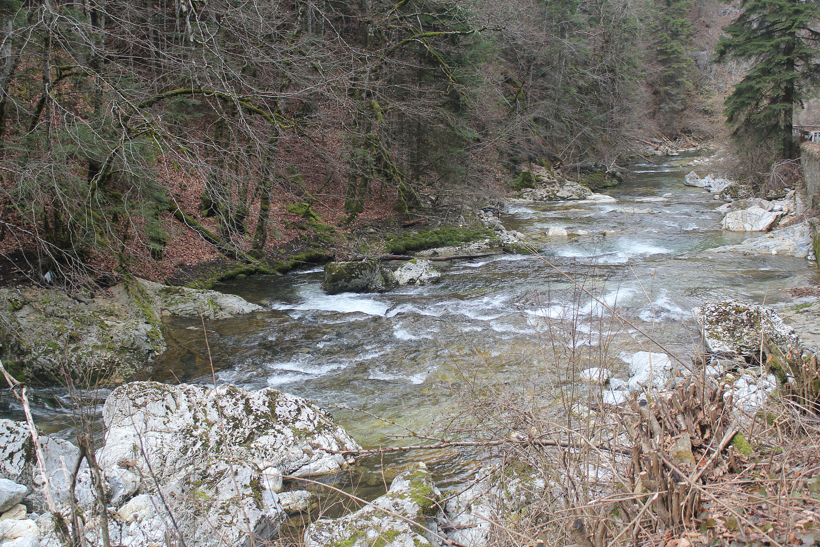 Canon EF-S 18-55mm F3.5-5.6 IS sample photo. Mountain river photography