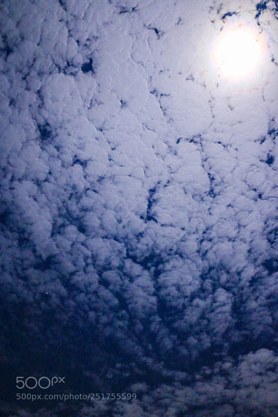 Canon EOS 70D sample photo. Ocean of clouds photography