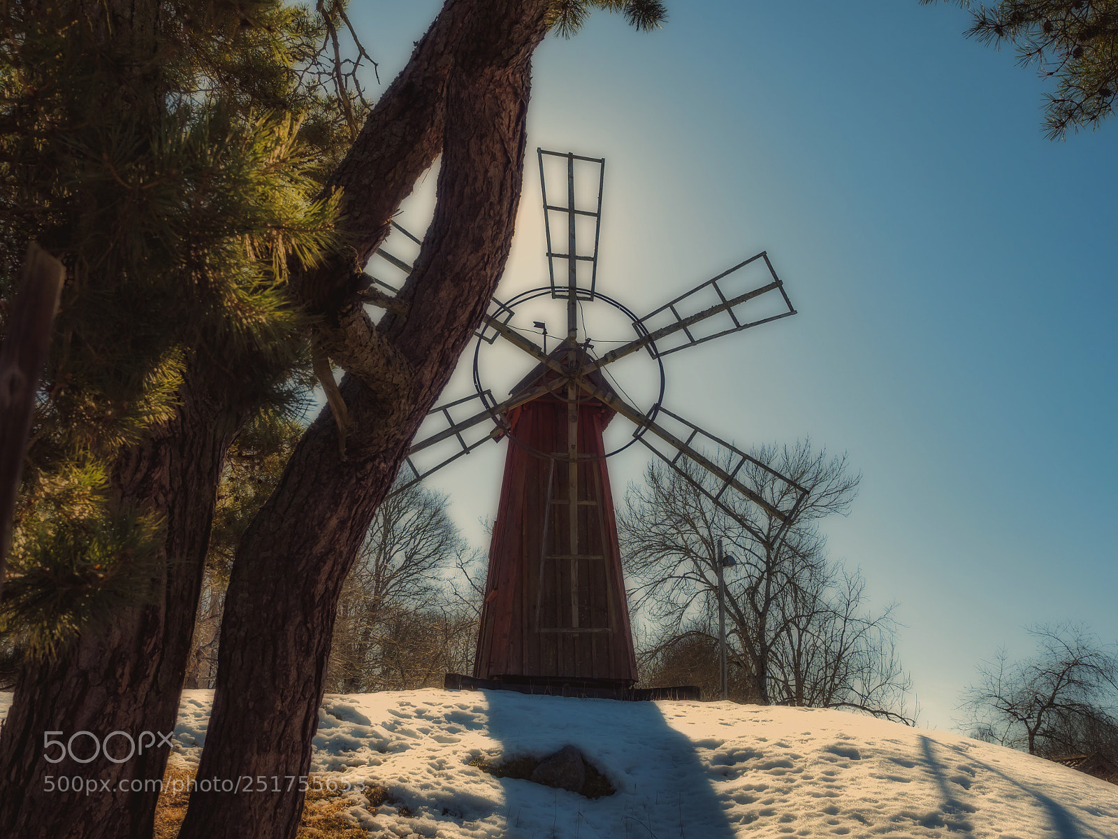 Olympus OM-D E-M5 II sample photo. A winter day photography