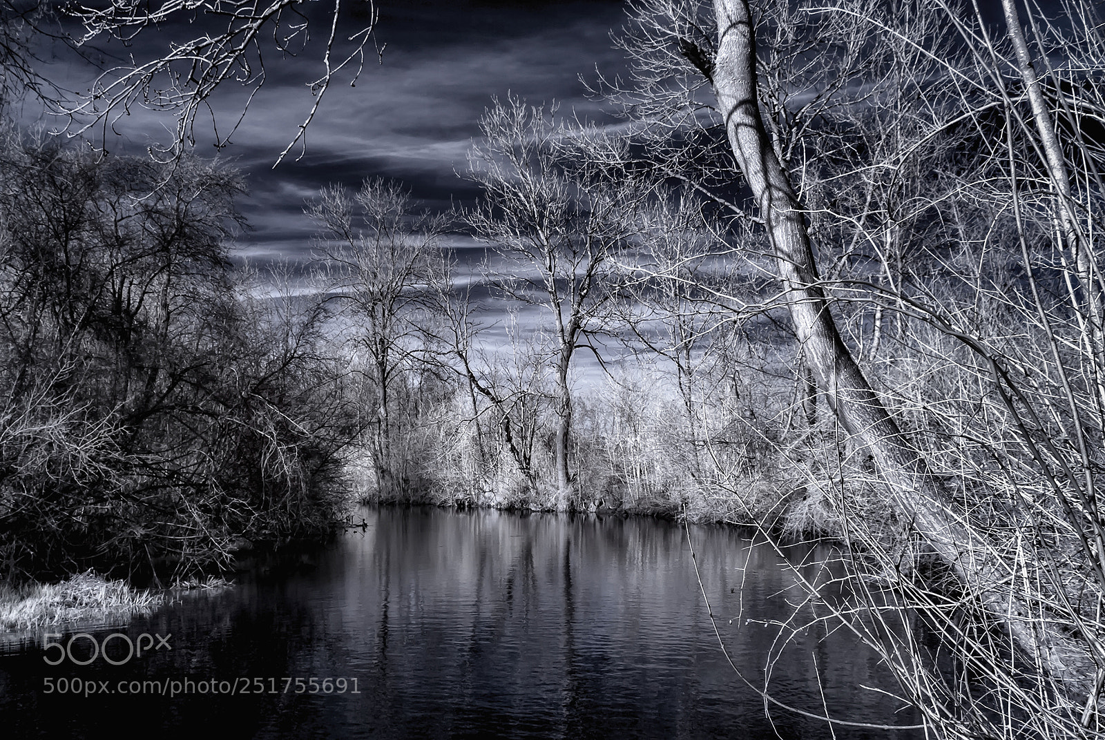 Nikon D80 sample photo. Infrared blues photography